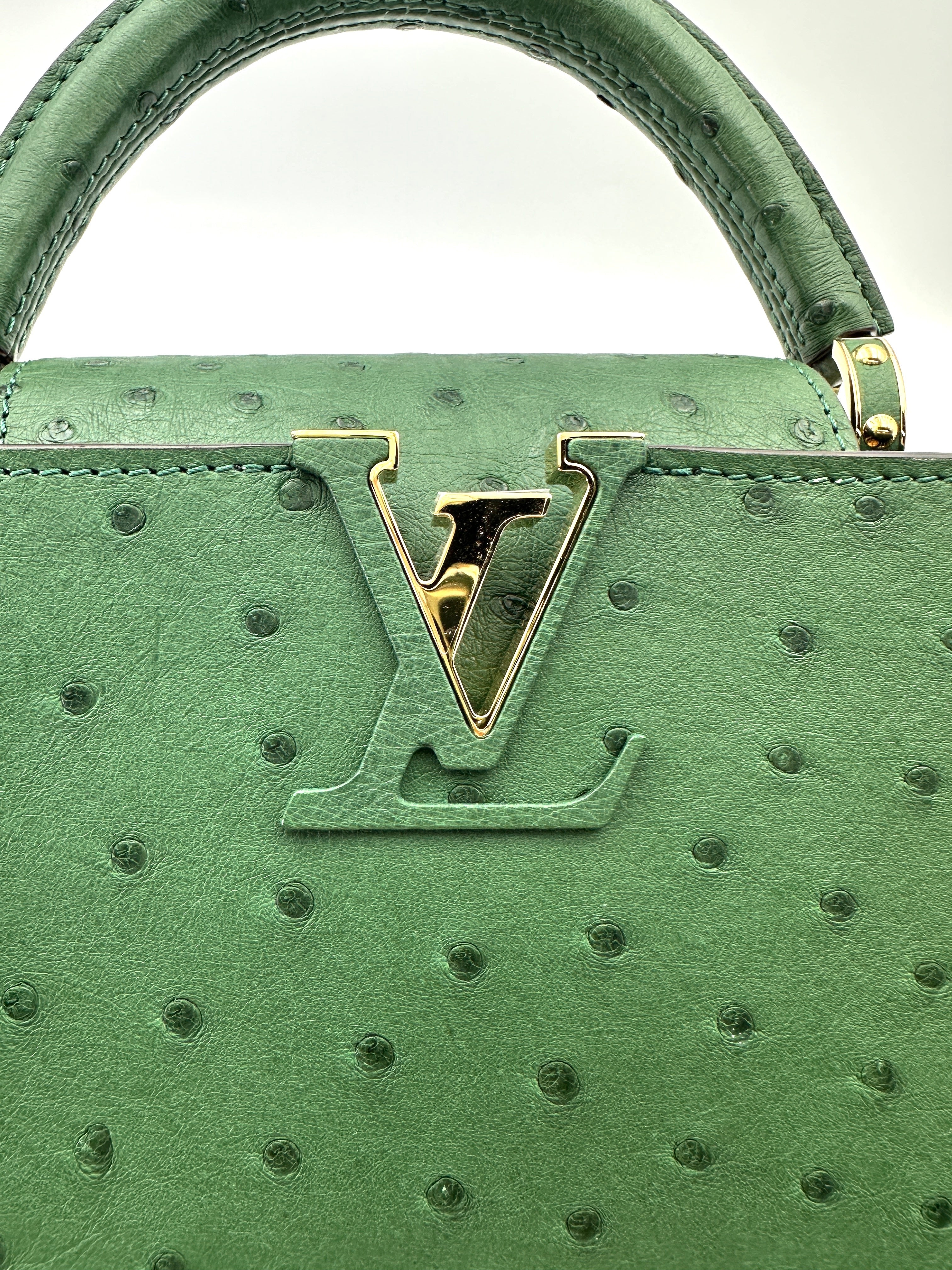 Louis Vuitton Capucines BB Green Ostrich Handle Bag IRIS213