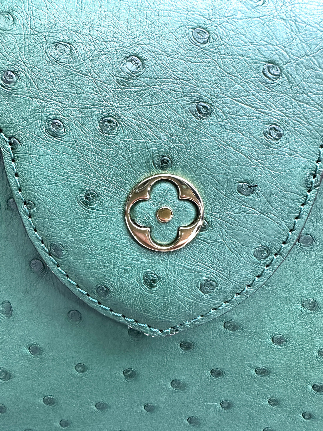 Louis Vuitton Capucines BB Green Ostrich Handle Bag IRIS213