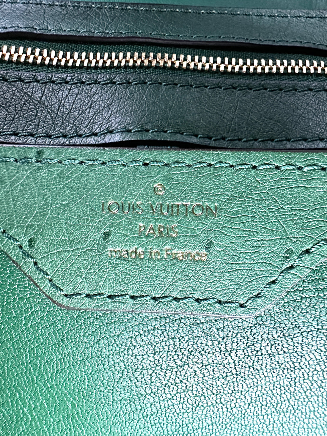 Louis Vuitton Capucines BB Green Ostrich Handle Bag IRIS213