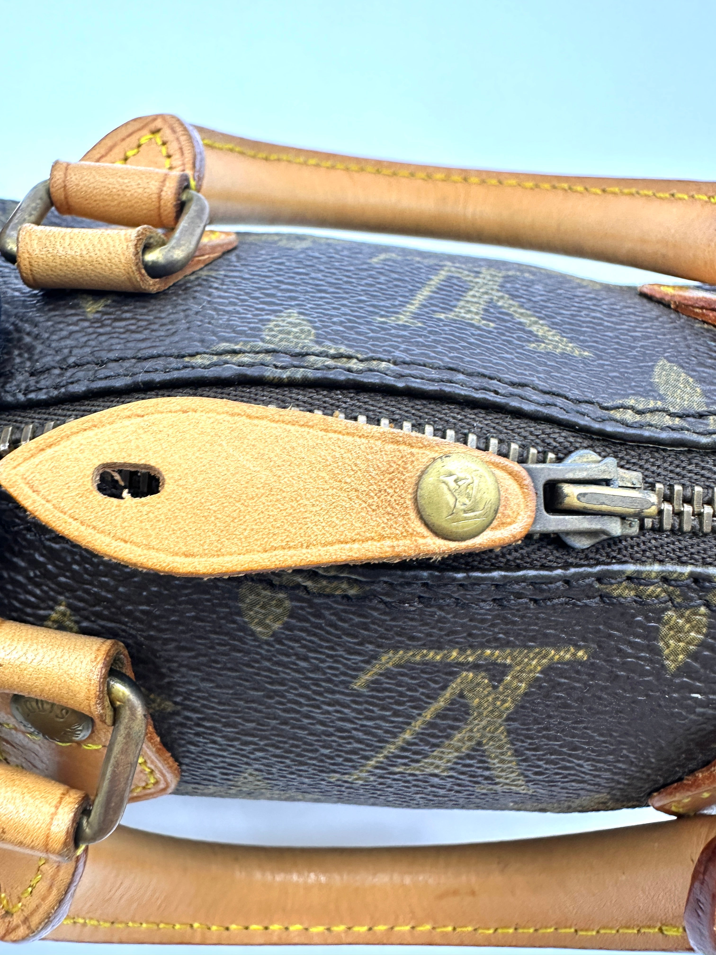 Louis Vuitton Speedy Monogram Canvas Mini Handle Bag LV2646
