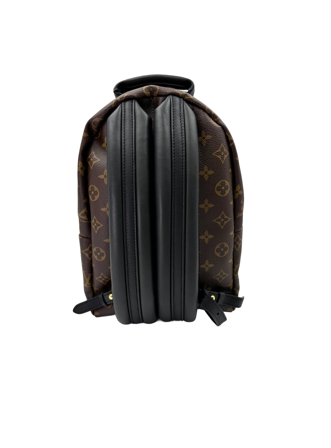 Louis Vuitton Palm Springs Monogram Canvas Small Size Backpack LV2653