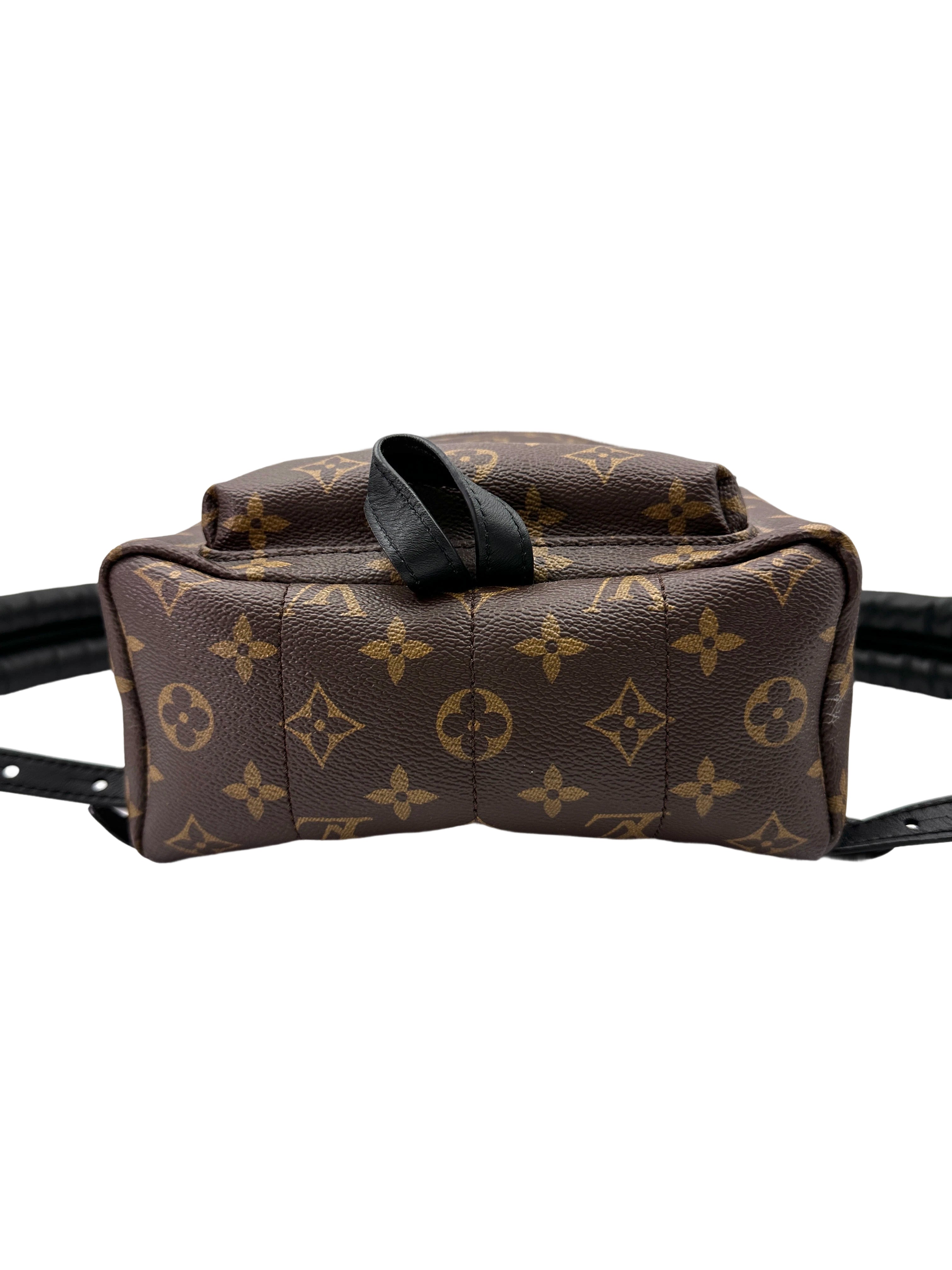 Louis Vuitton Palm Springs Monogram Canvas Small Size Backpack LV2653