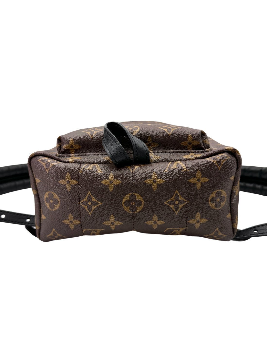 Louis Vuitton Palm Springs Monogram Canvas Small Size Backpack LV2653