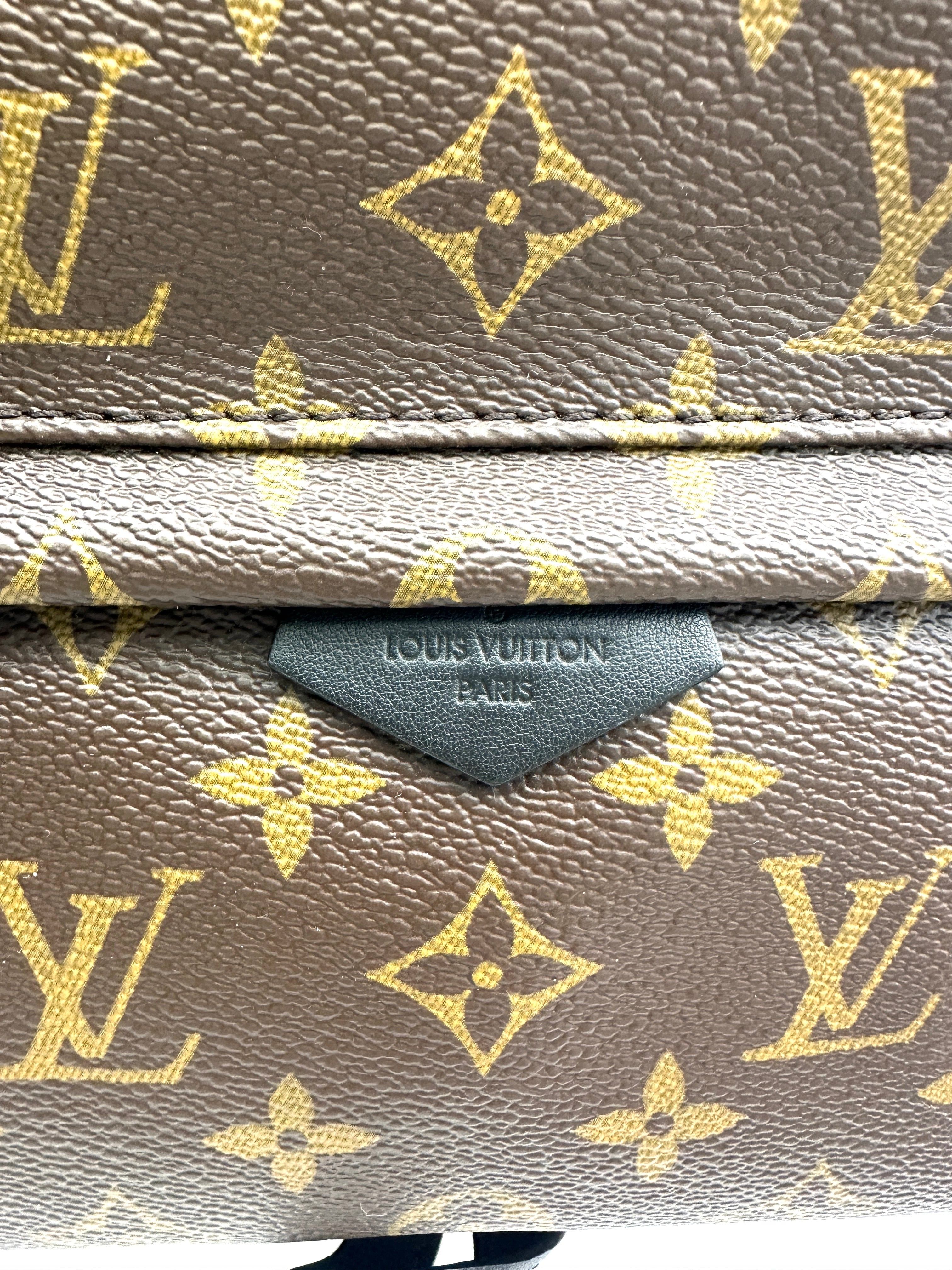 Louis Vuitton Palm Springs Monogram Canvas Small Size Backpack LV2653