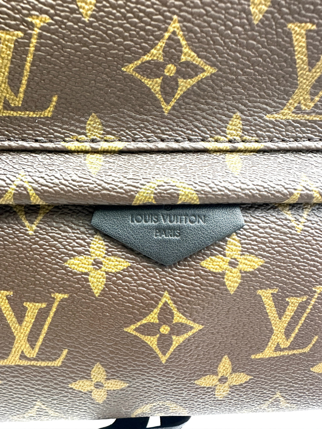 Louis Vuitton Palm Springs Monogram Canvas Small Size Backpack LV2653