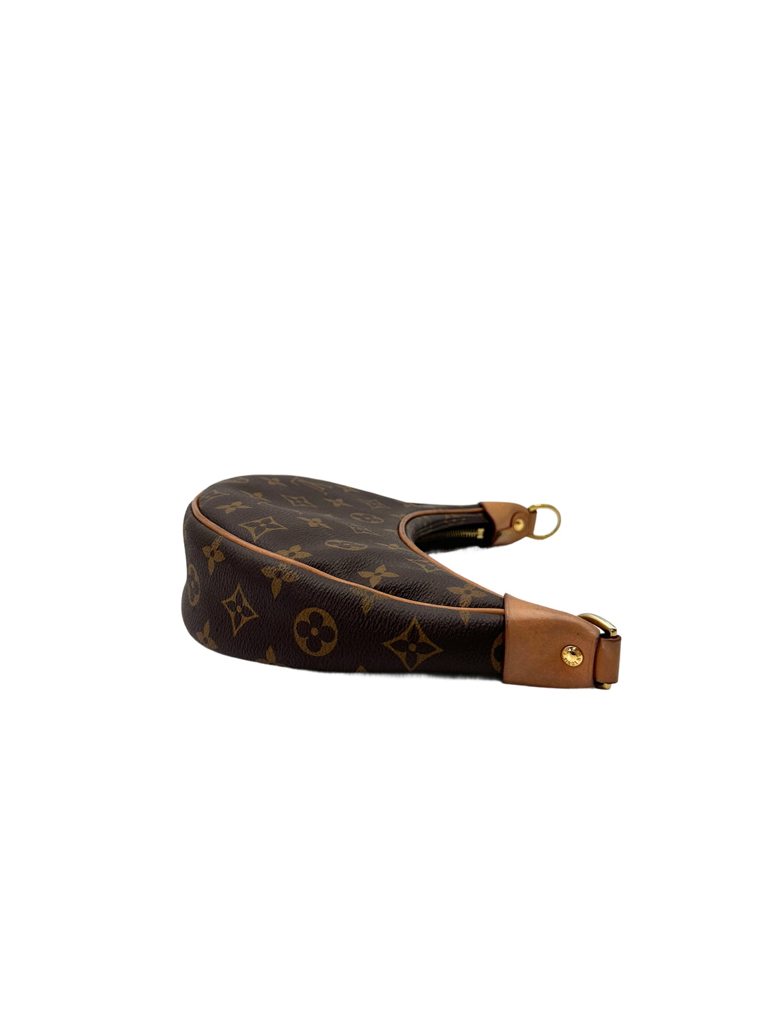 Louis Vuitton Loop Monogram Canvas Shoulder Bag LV2658