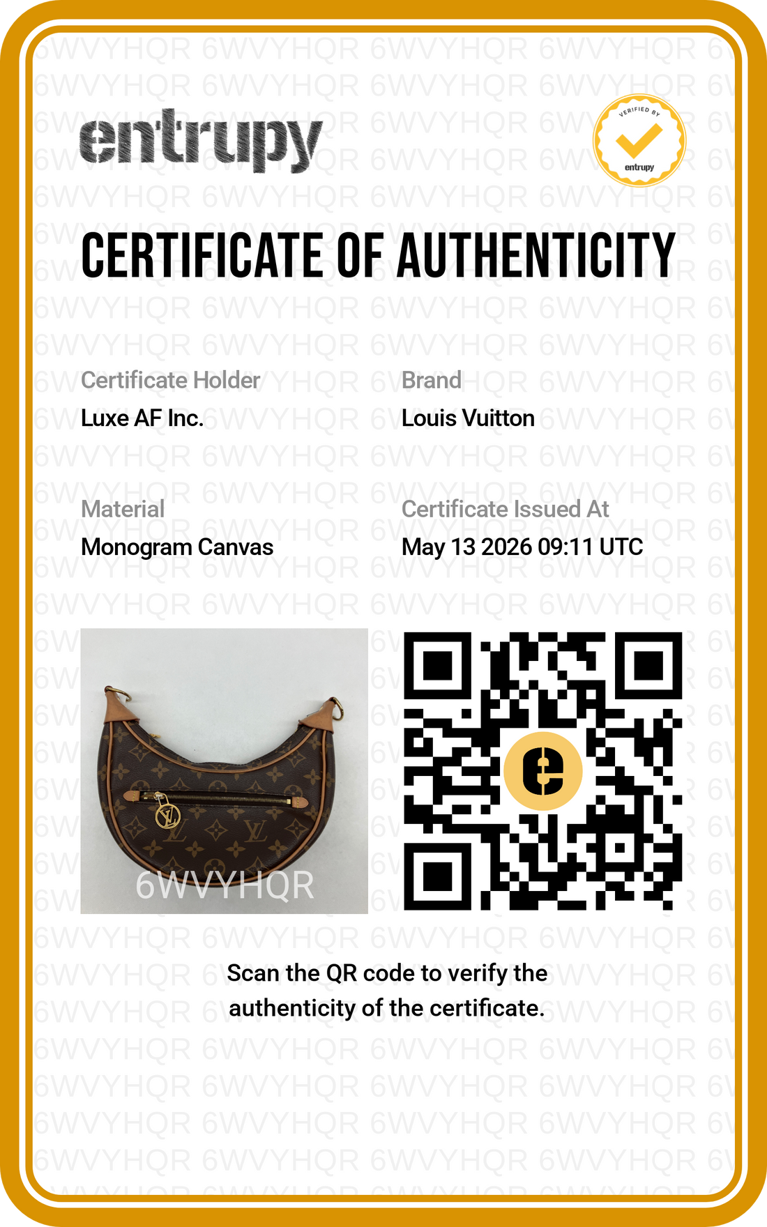 Louis Vuitton Loop Monogram Canvas Shoulder Bag LV2658