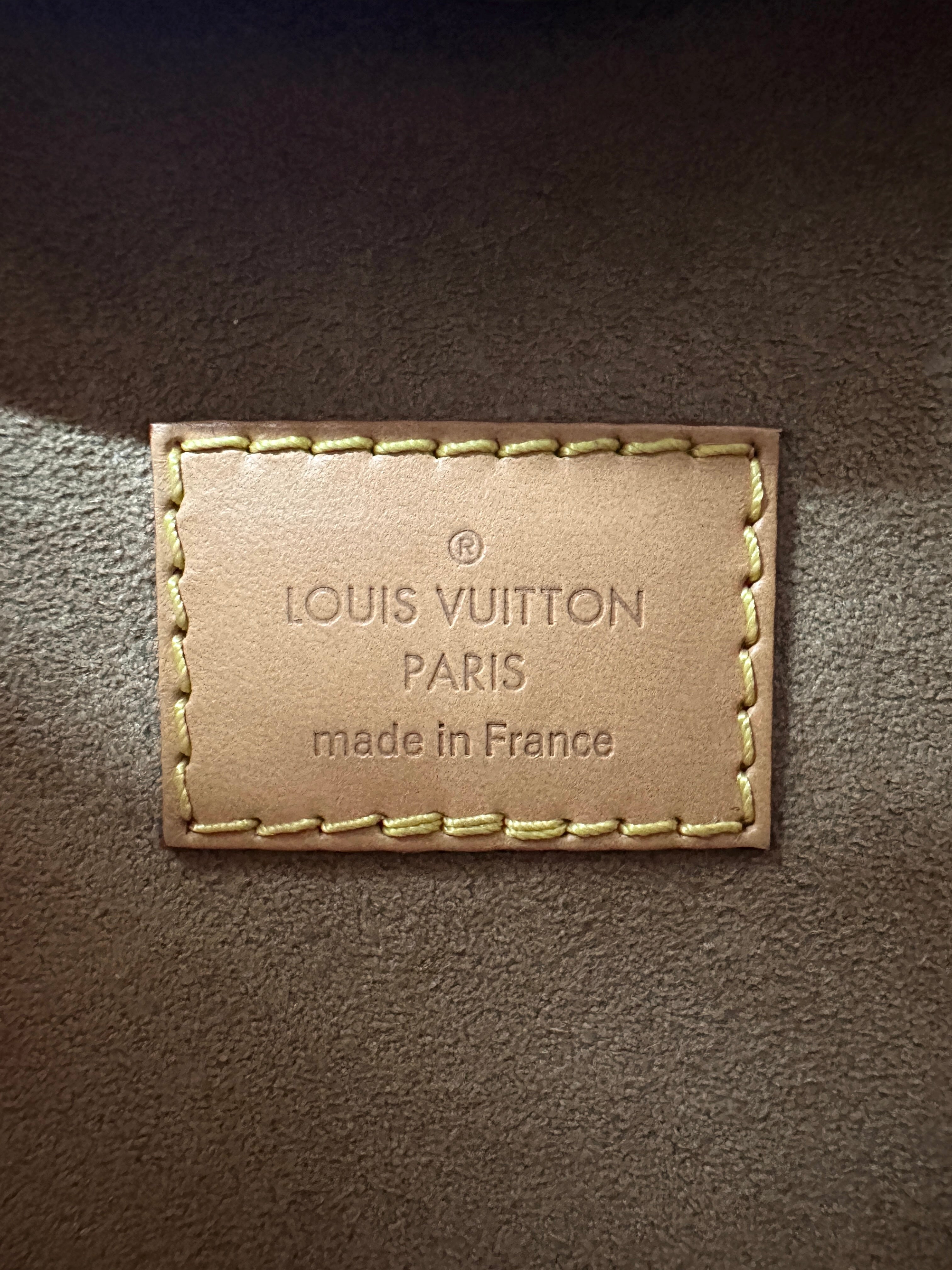 Louis Vuitton Loop Monogram Canvas Shoulder Bag LV2670