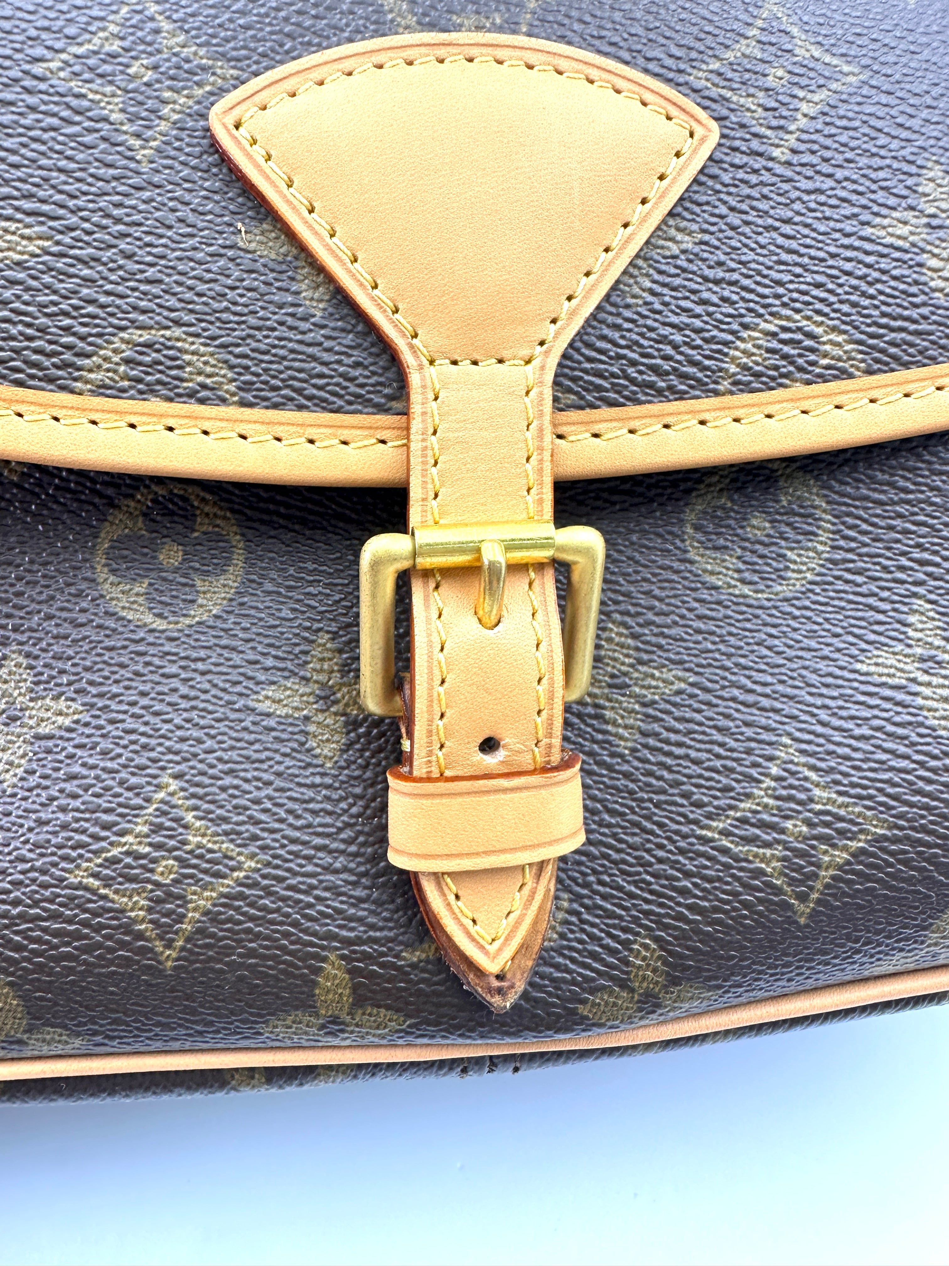 Louis Vuitton Sologne Monogram Canvas Shoulder Bag LV2662