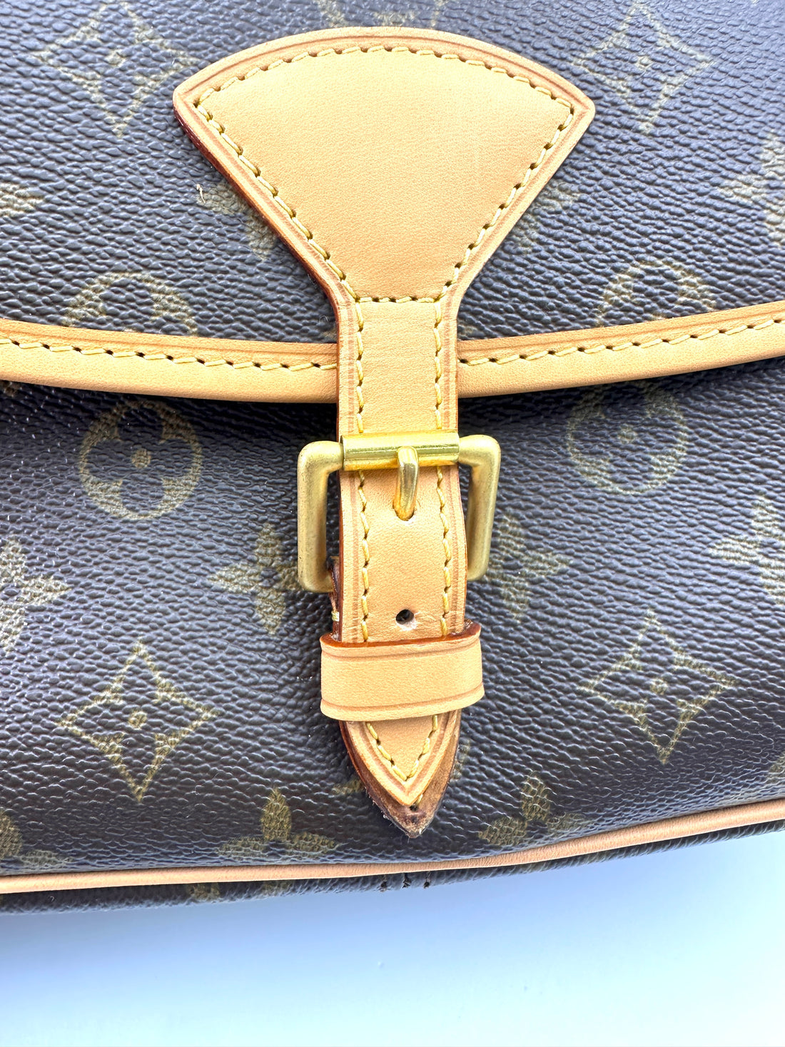 Louis Vuitton Sologne Monogram Canvas Shoulder Bag LV2662
