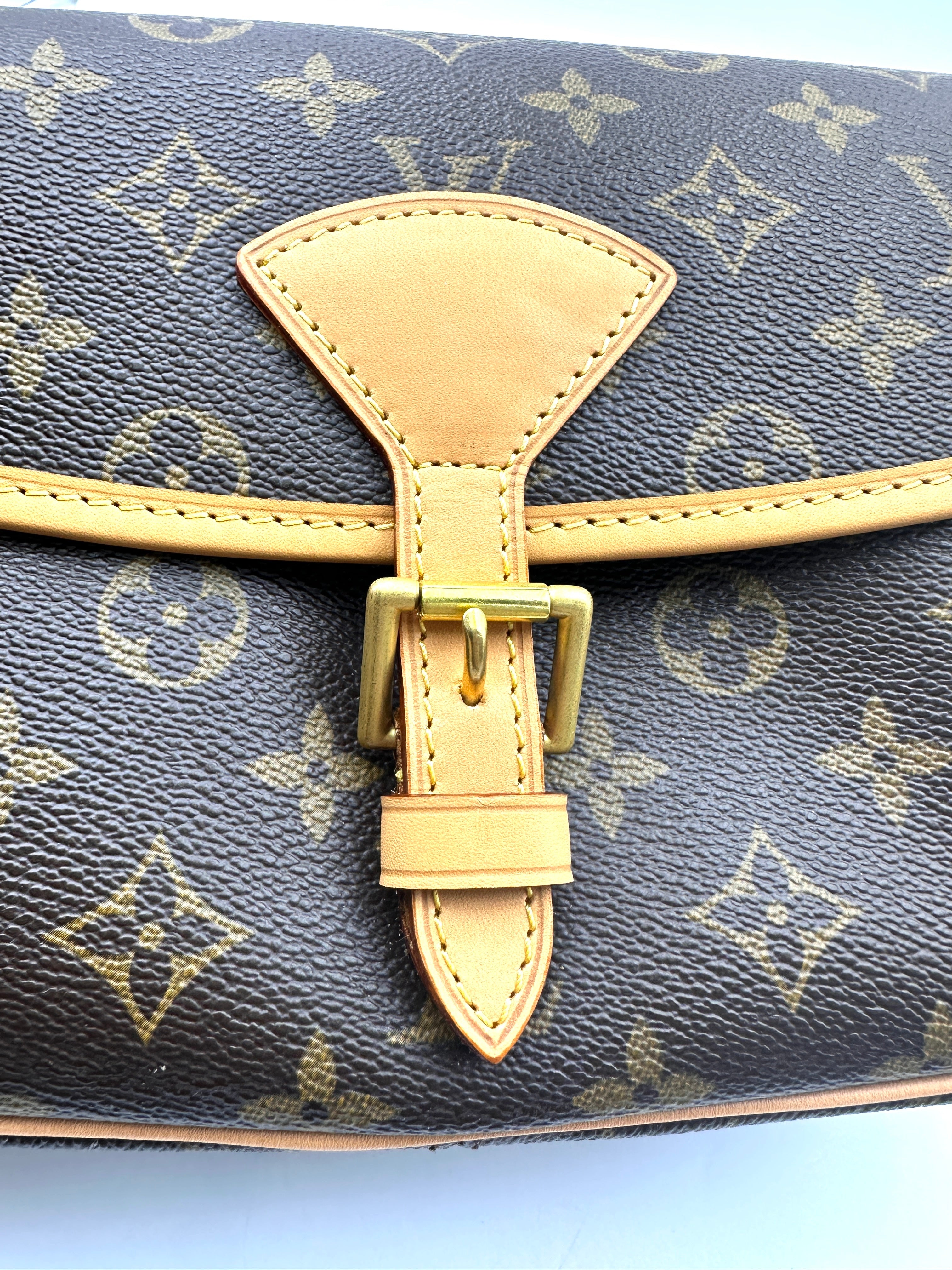 Louis Vuitton Sologne Monogram Canvas Shoulder Bag LV2664