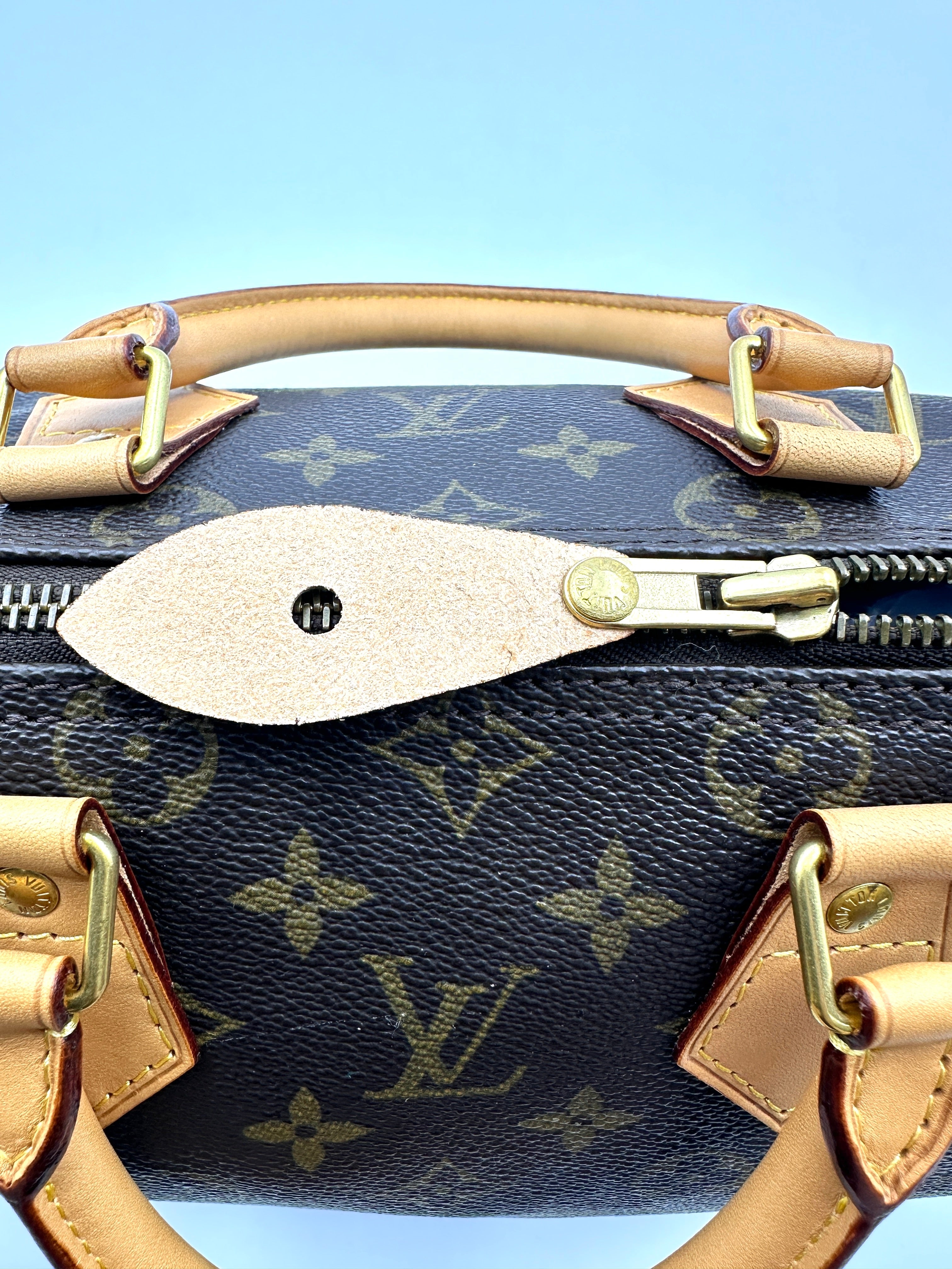 Louis Vuitton Speedy25 Monogram Canvas Handle Bag LV2666