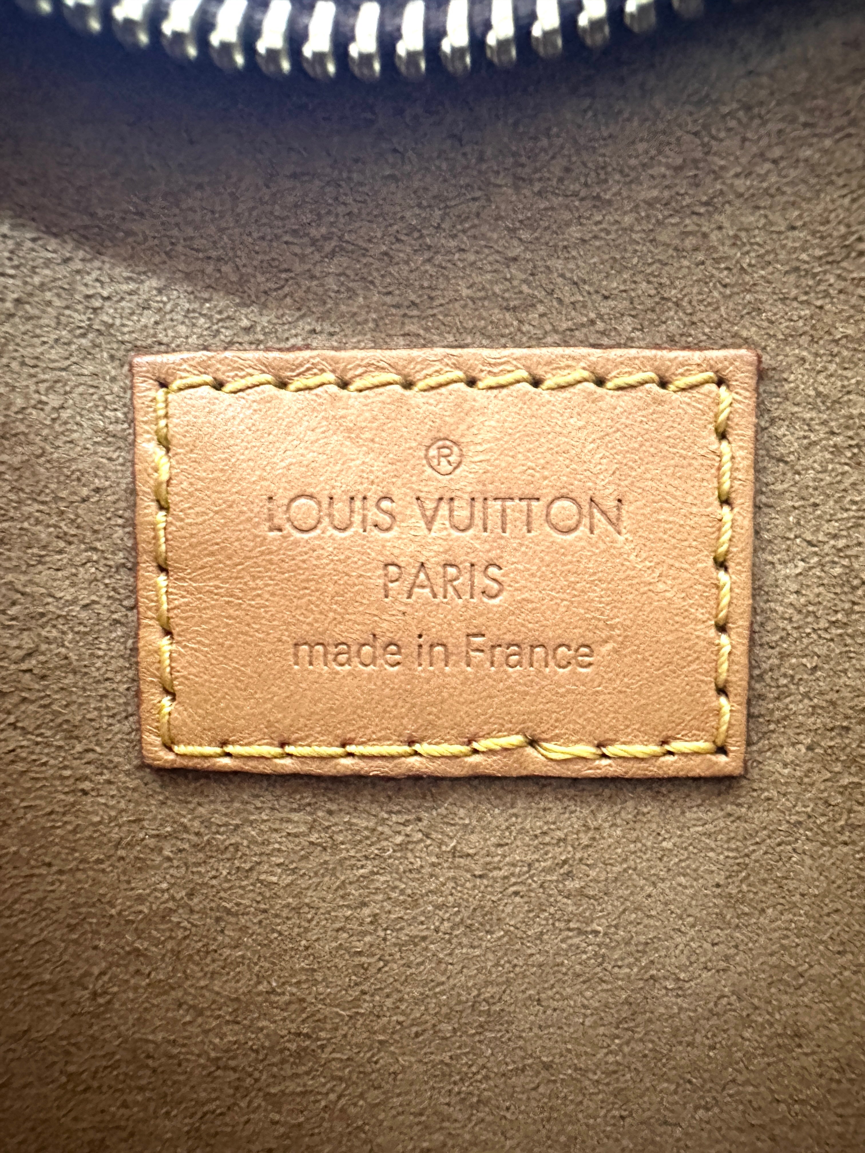 Louis Vuitton Loop Monogram Canvas Shoulder Bag LV2668