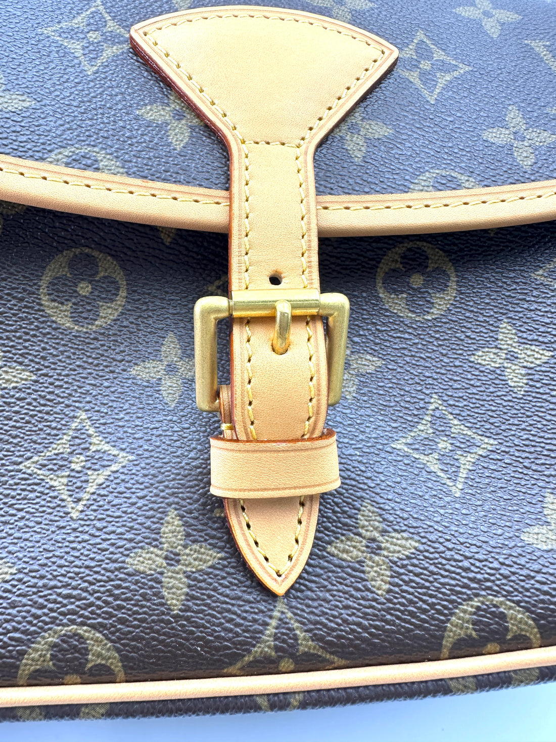 Louis Vuitton Sologne Monogram Canvas Shoulder Bag LV2675