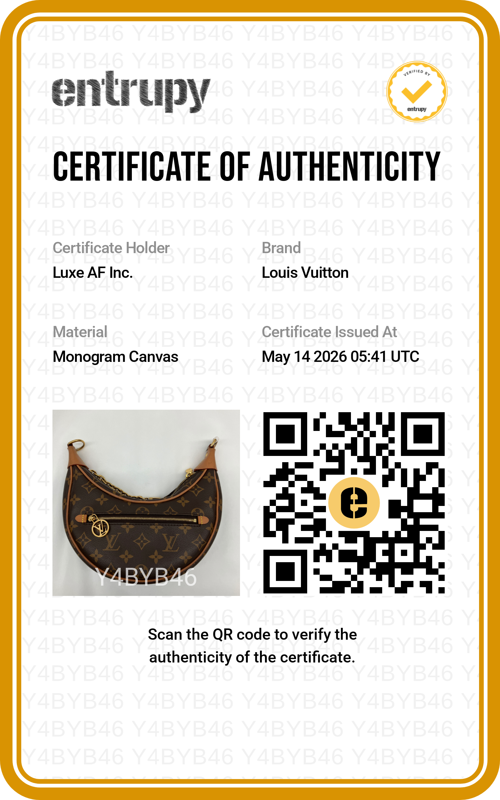 Louis Vuitton Loop Monogram Canvas Shoulder Bag LV2668