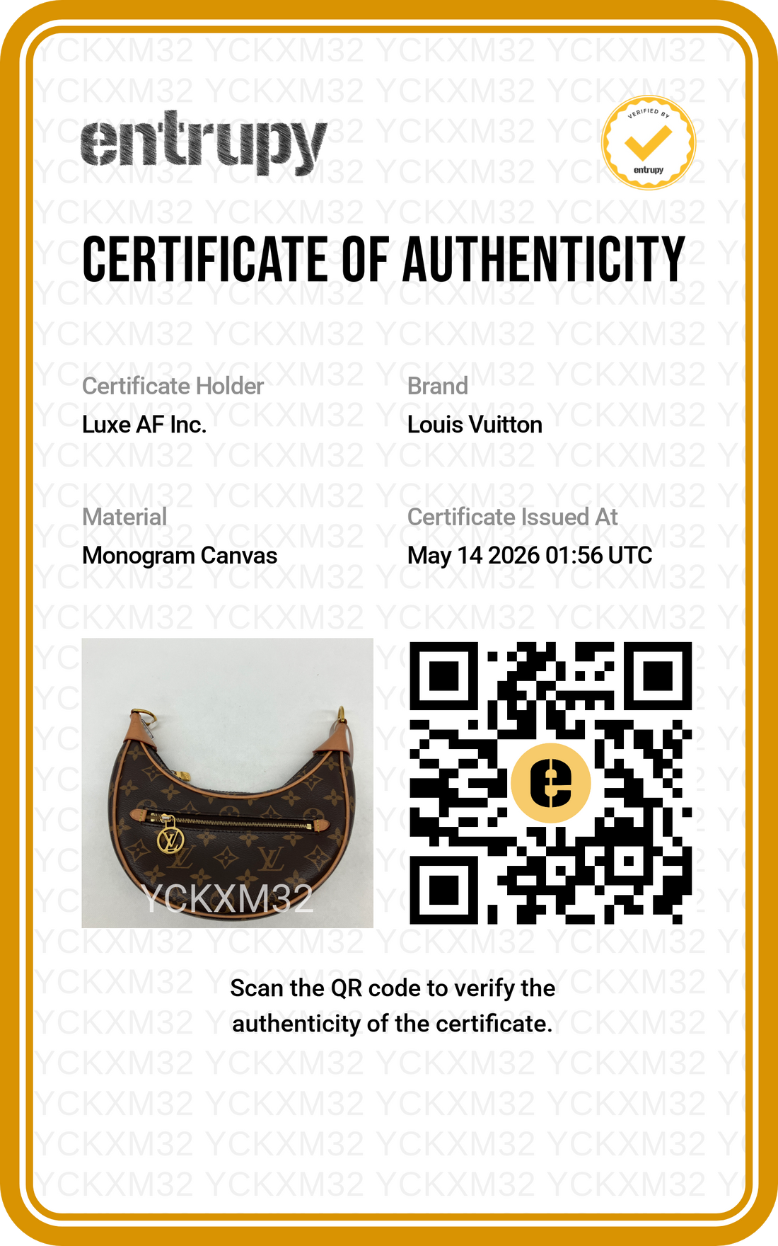 Louis Vuitton Loop Monogram Canvas Shoulder Bag LV2670