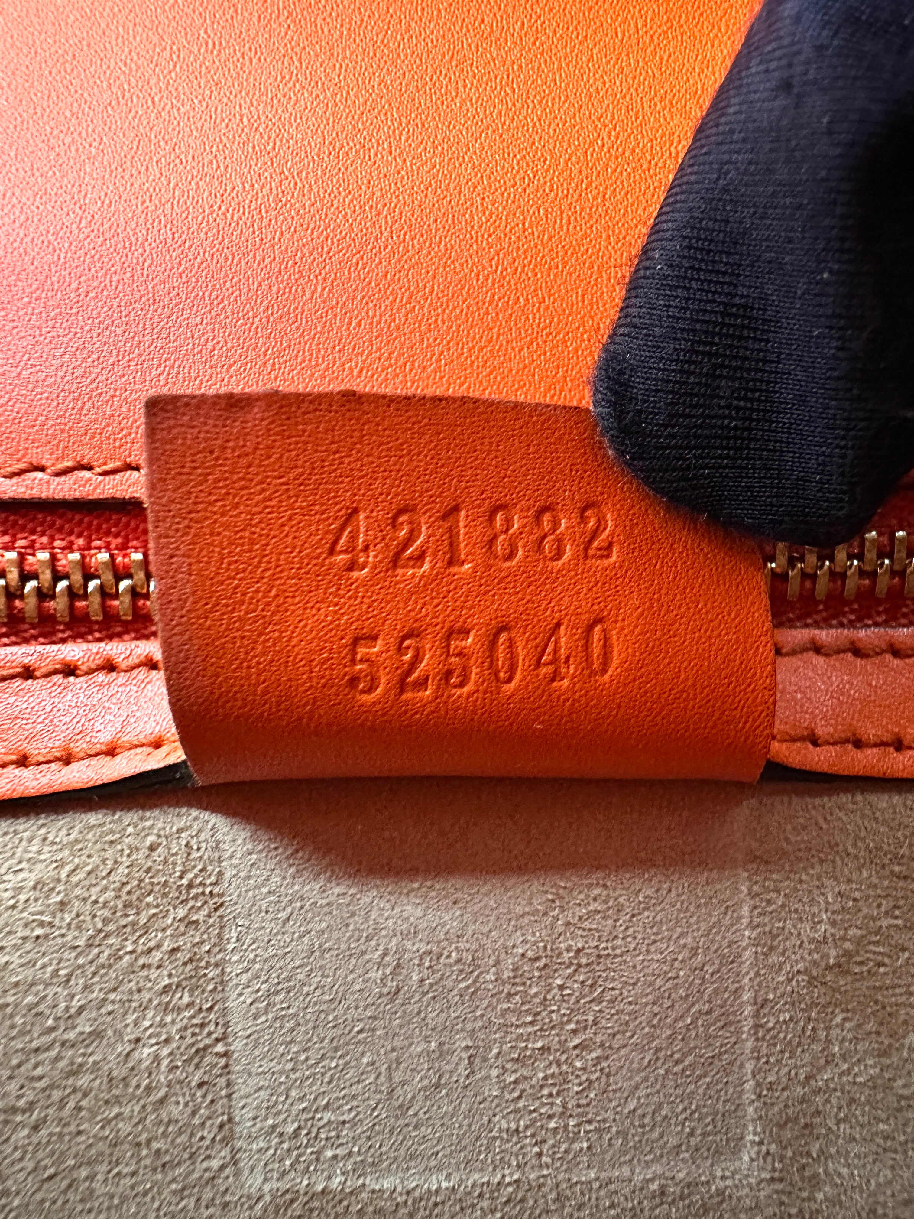 Gucci Sylvie Orange Leather Medium Size Shoulder Bag GG984