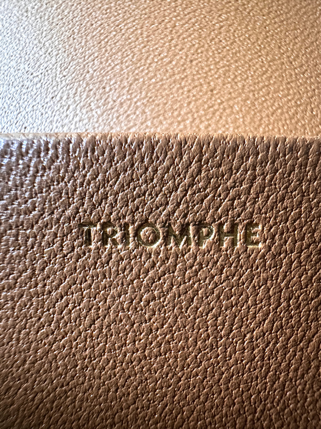 Celine Claude Triomphe Canvas Shoulder Bag CER
