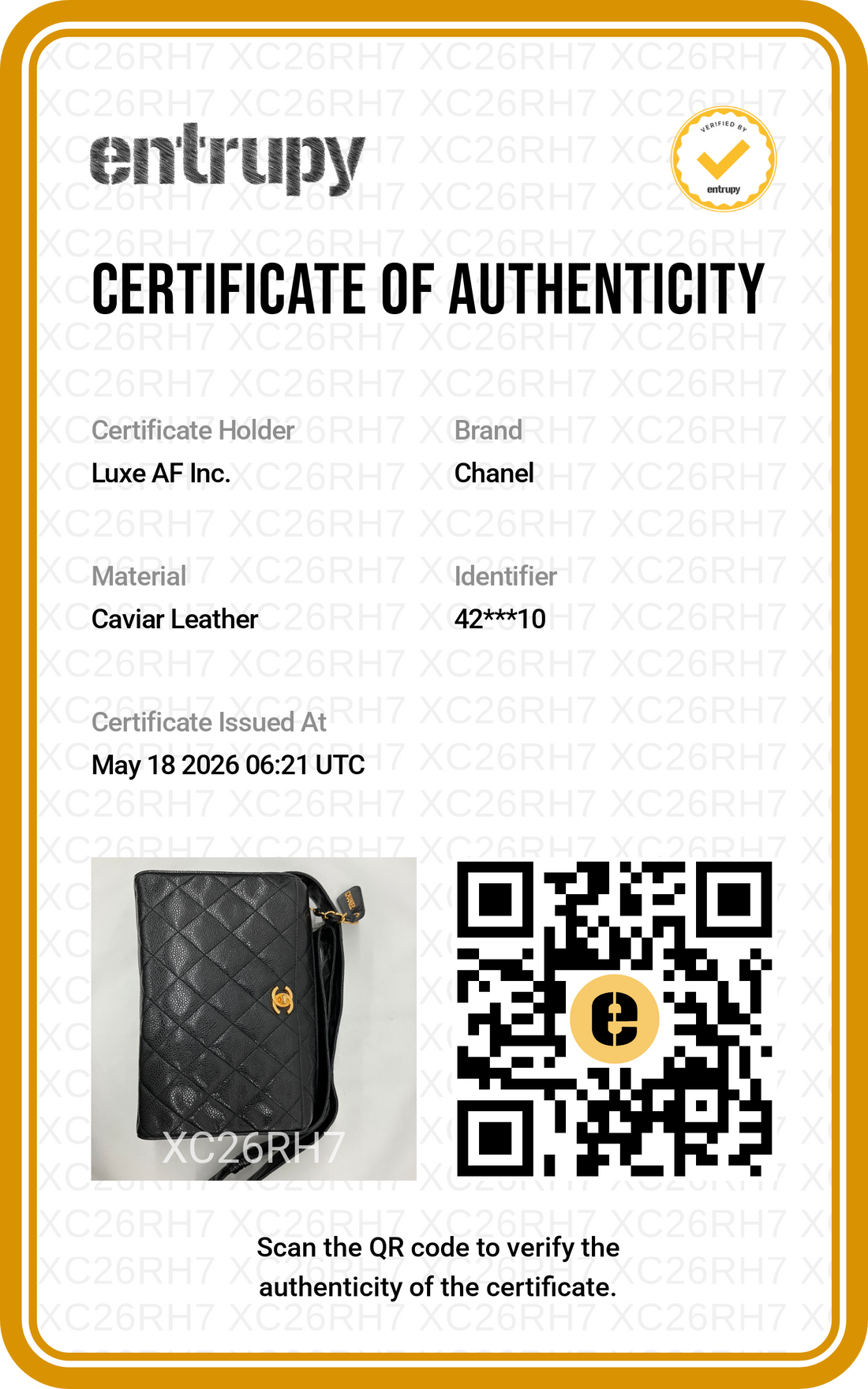 Chanel Black Quilted Leather Camera Bag(42***10) IRIS220