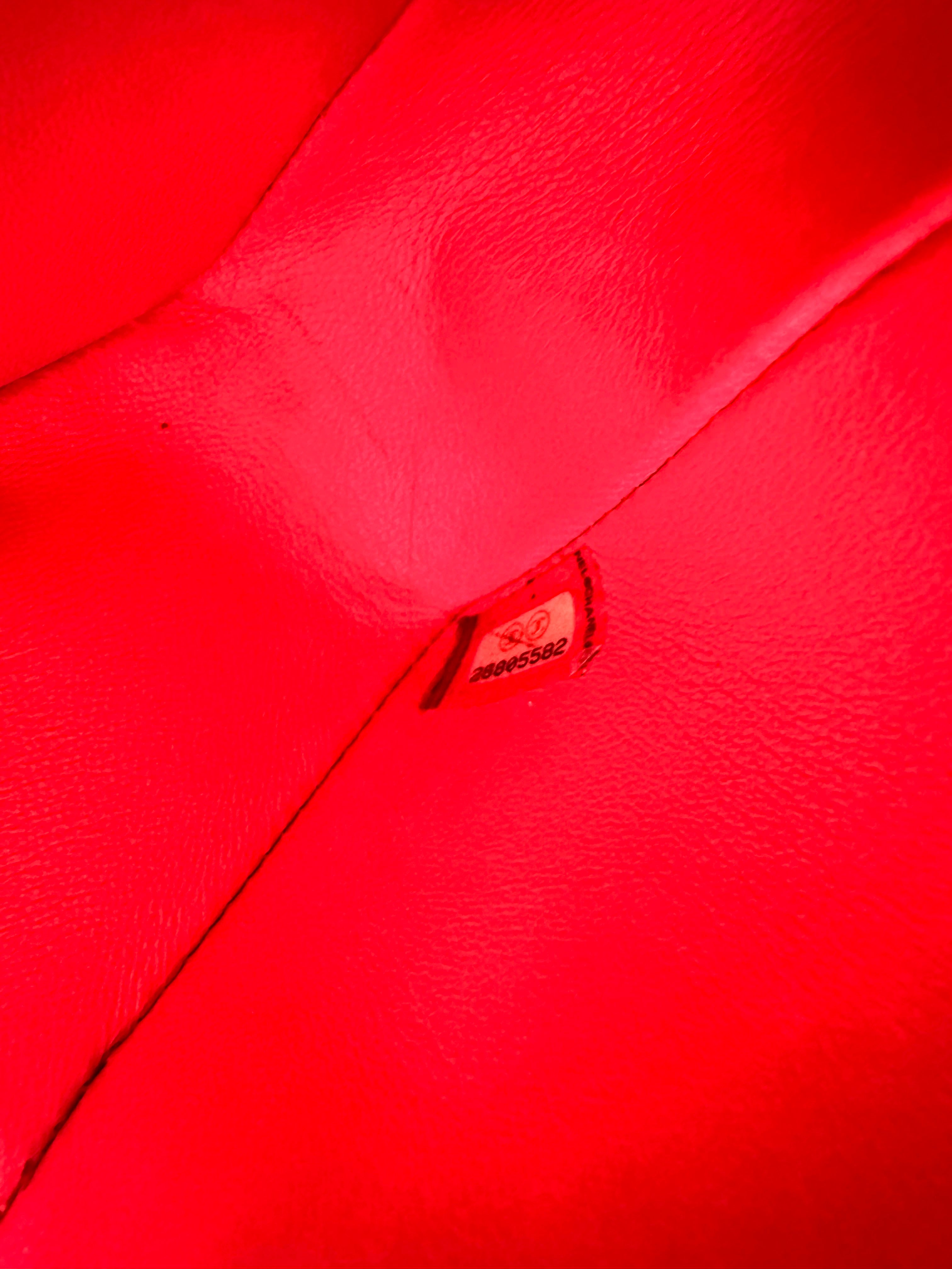 Chanel LeBoy Red Python Leather Small Size Flap Bag With Gold Buckle(25***82) CC1981