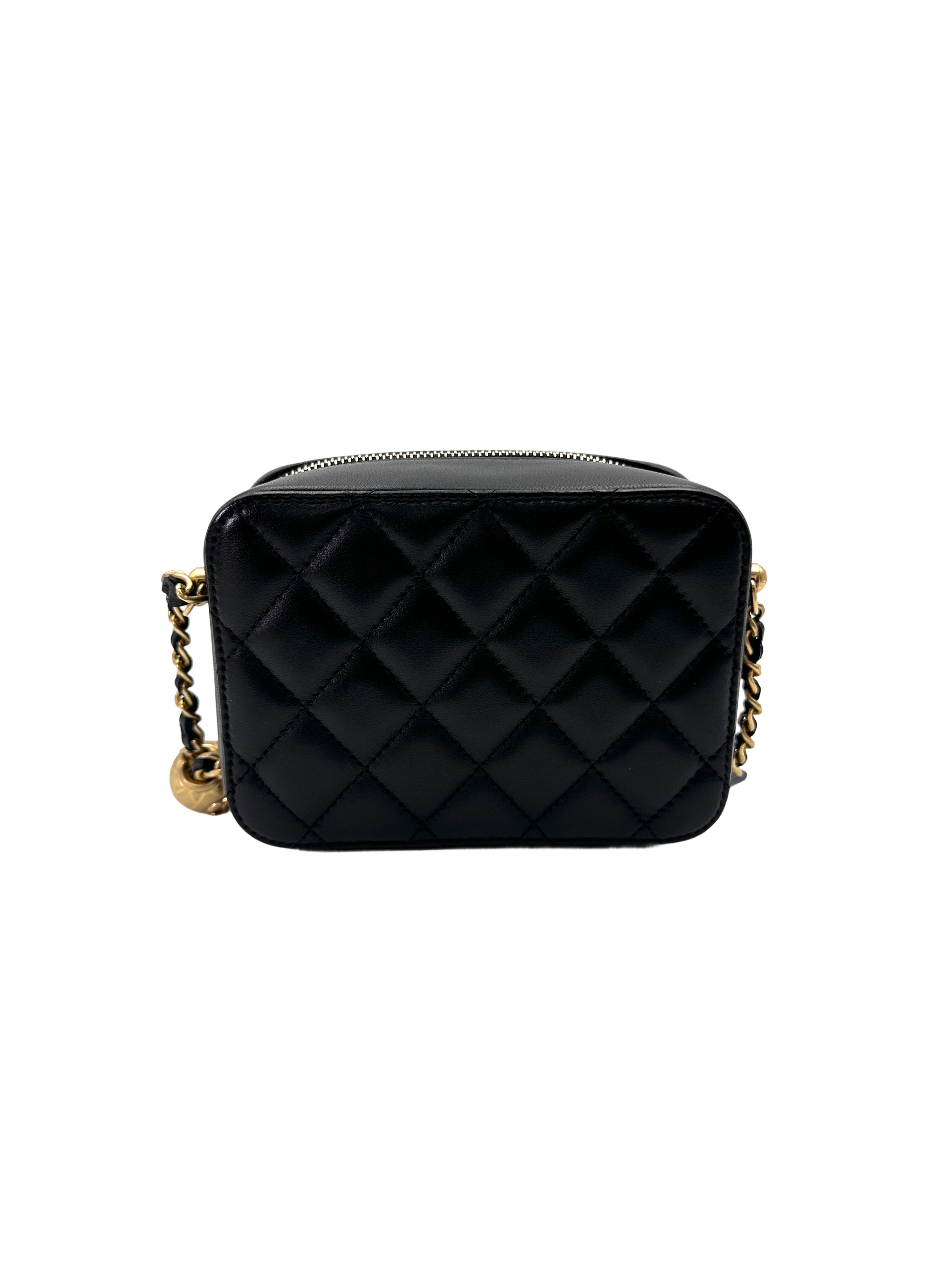 Chanel 22C Black Quilted Leather Camera Bag(31***74) IRIS225