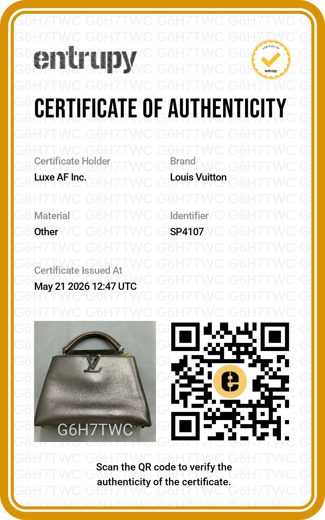 Louis Vuitton Capucines Grey Leather Handle Bag LV2780