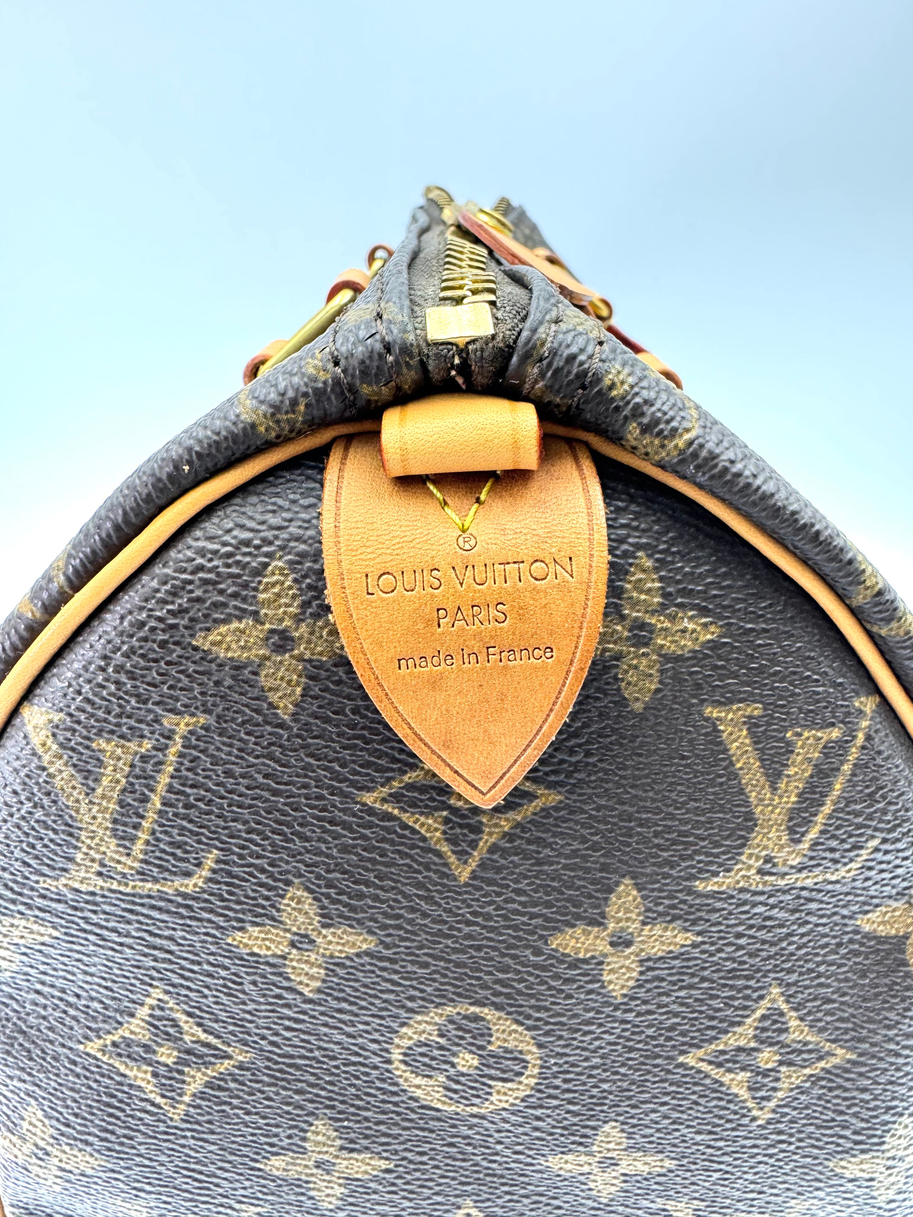 Louis Vuitton Speedy25 Monogram Canvas Handle Bag LV2791