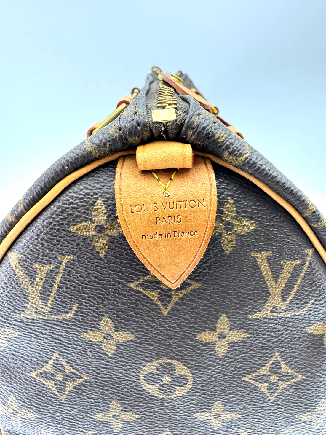 Louis Vuitton Speedy25 Monogram Canvas Handle Bag LV2791