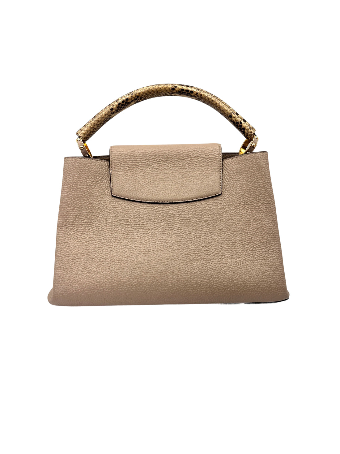 Louis Vuitton Capucines GM Grey Leather Python Handle Bag LV2808