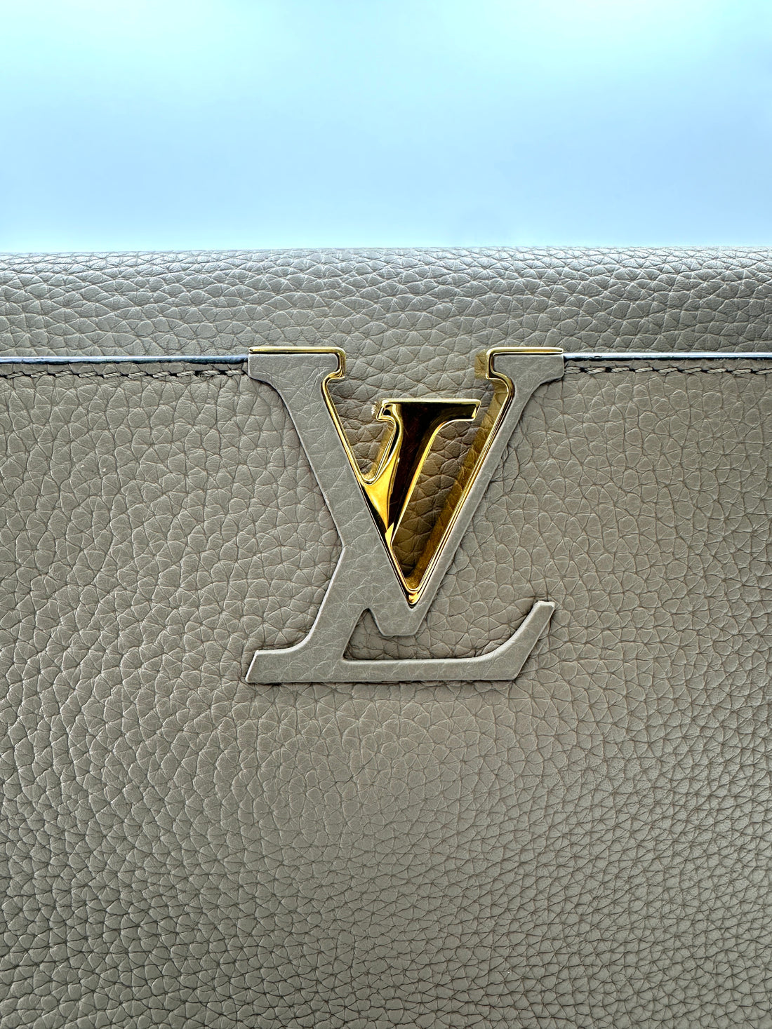 Louis Vuitton Capucines GM Grey Leather Python Handle Bag LV2808