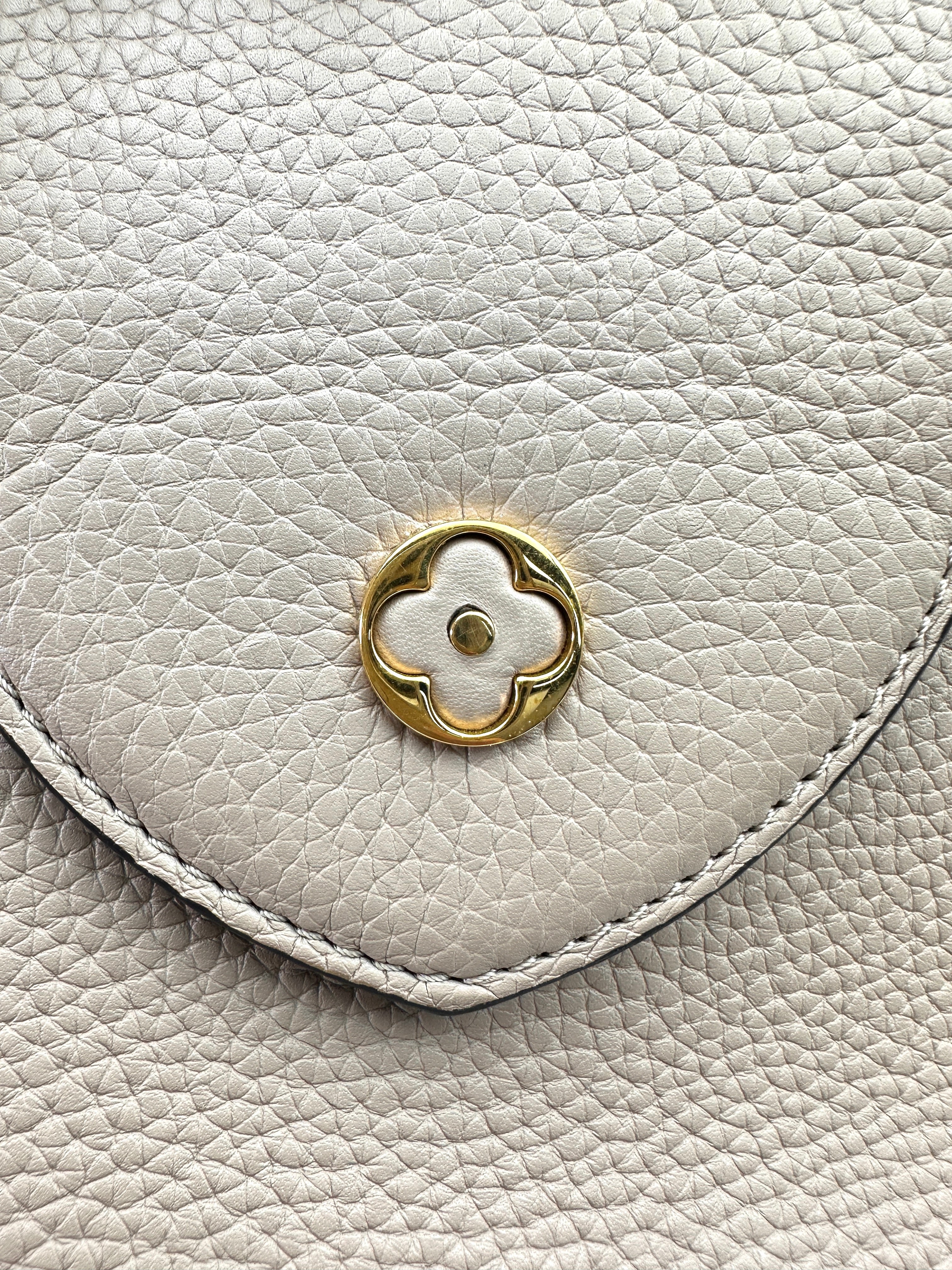 Louis Vuitton Capucines GM Grey Leather Python Handle Bag LV2808