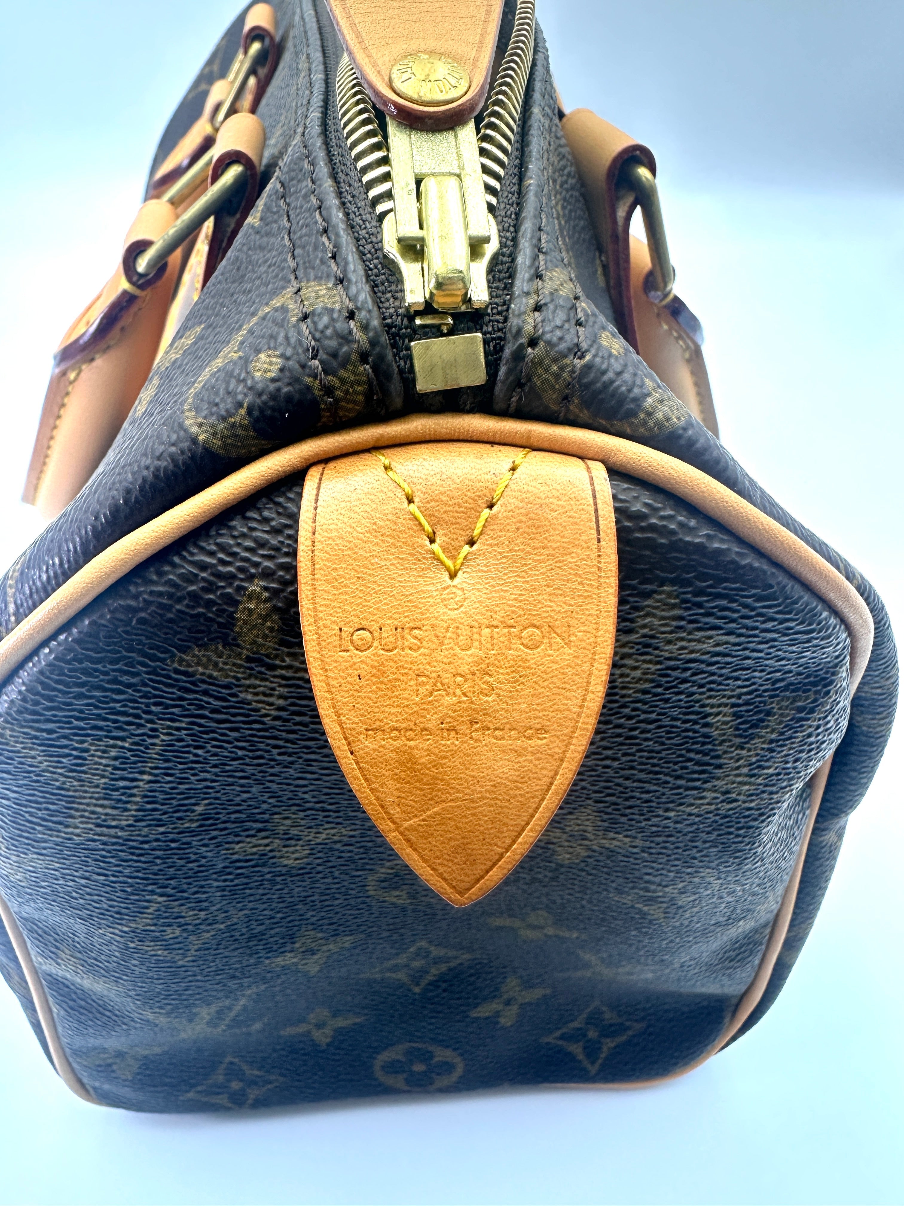 Louis Vuitton Speedy25 Monogram Canvas Handle Bag LV2809