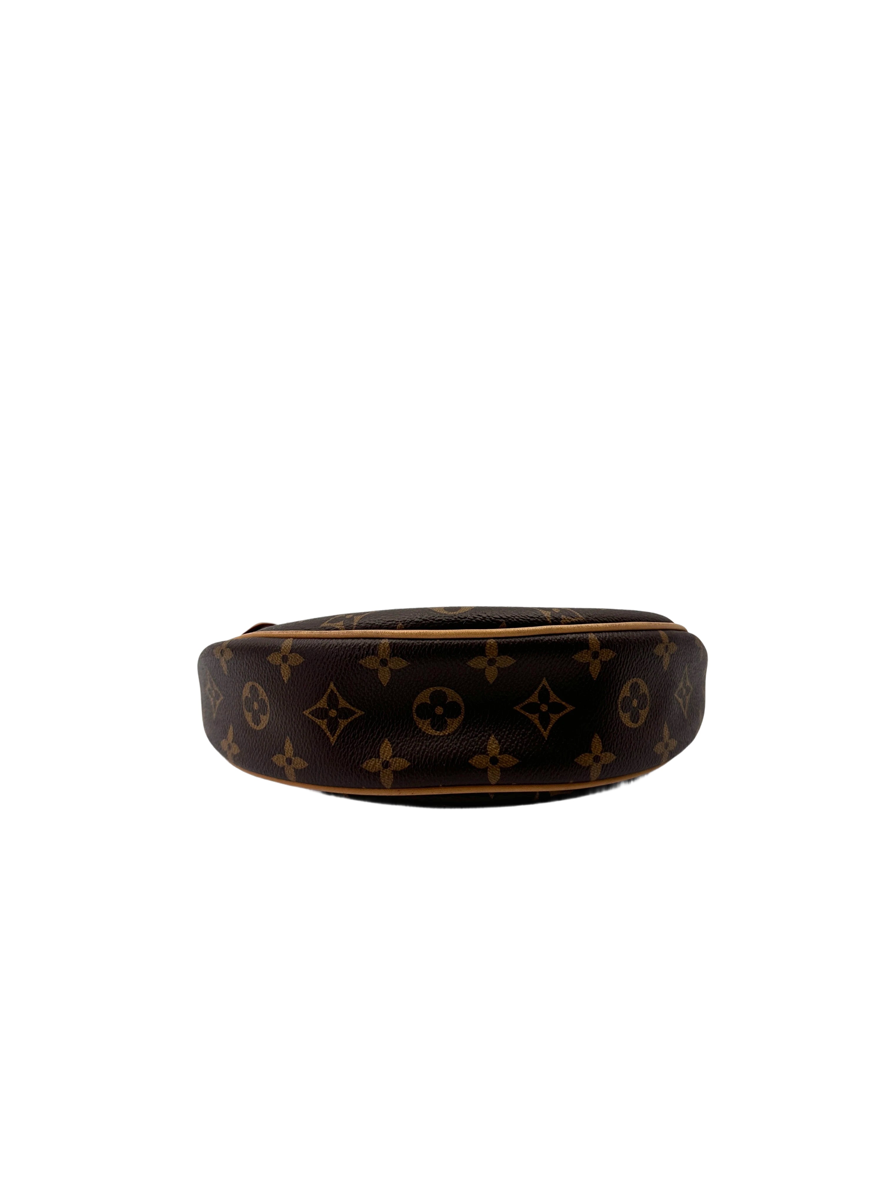 Louis Vuitton Loop Monogram Canvas Shoulder Bag LV2819