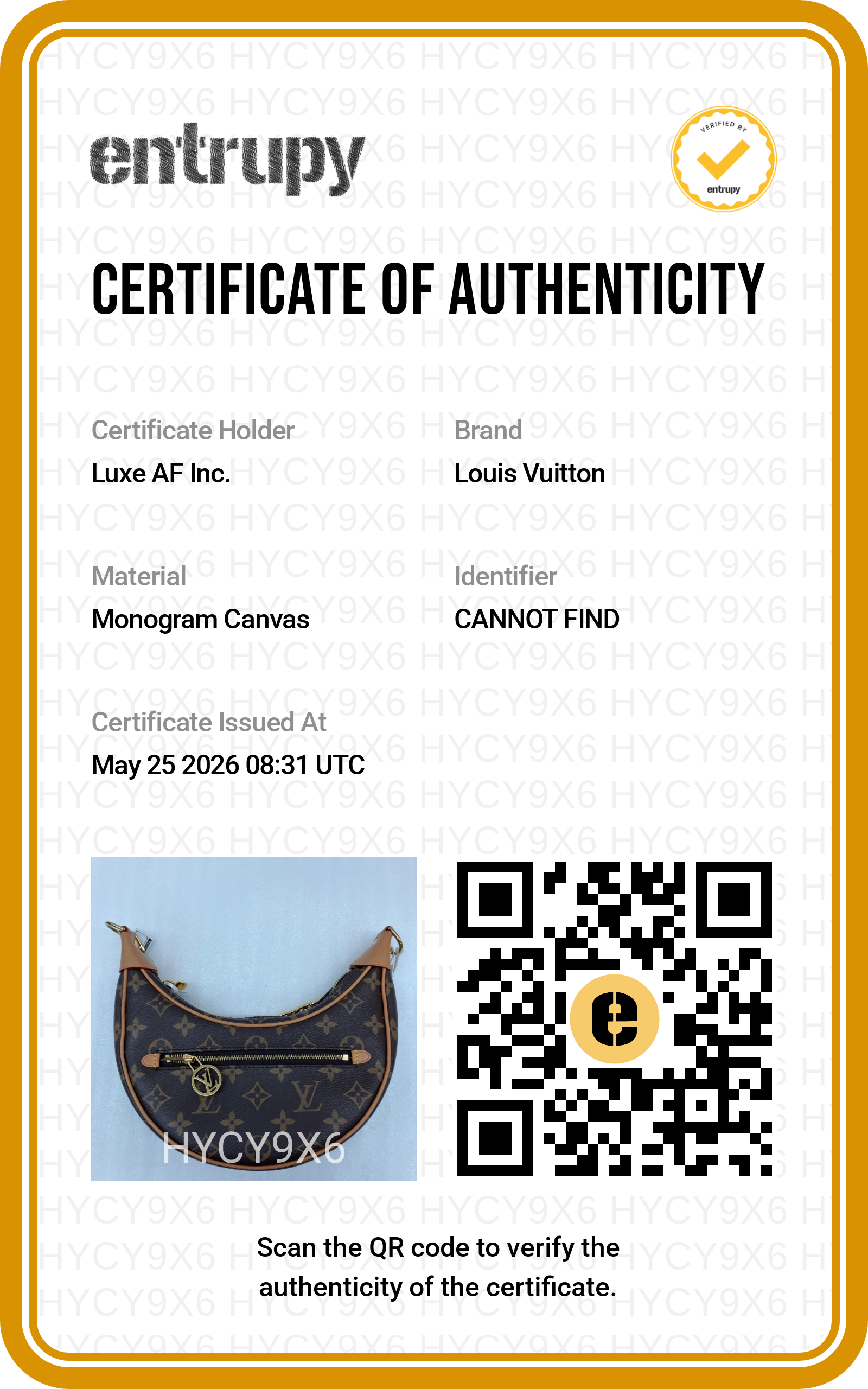 Louis Vuitton Loop Monogram Canvas Shoulder Bag LV2819