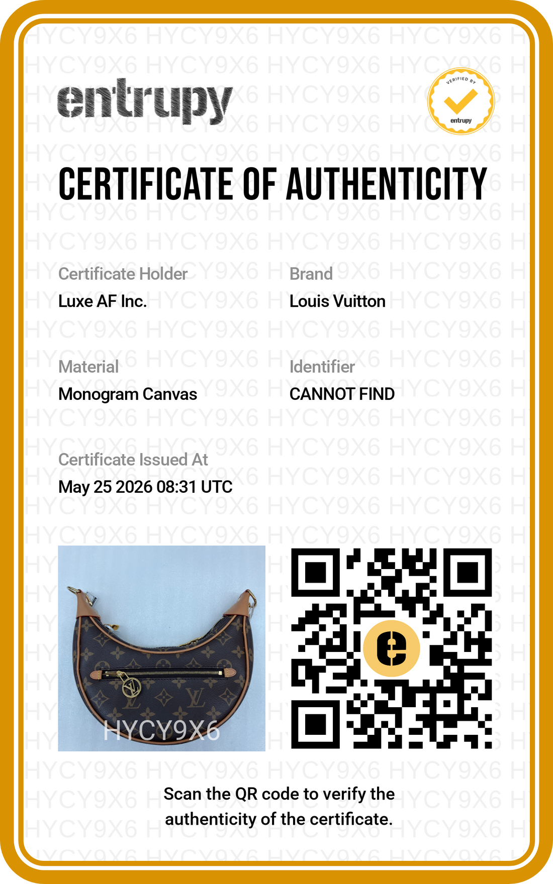 Louis Vuitton Loop Monogram Canvas Shoulder Bag LV2819