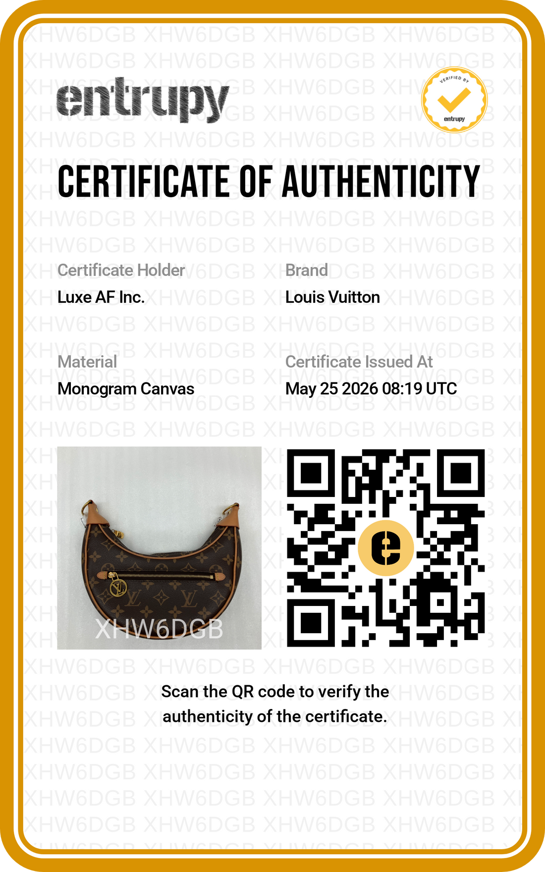 Louis Vuitton Loop Monogram Canvas Shoulder Bag LV2825