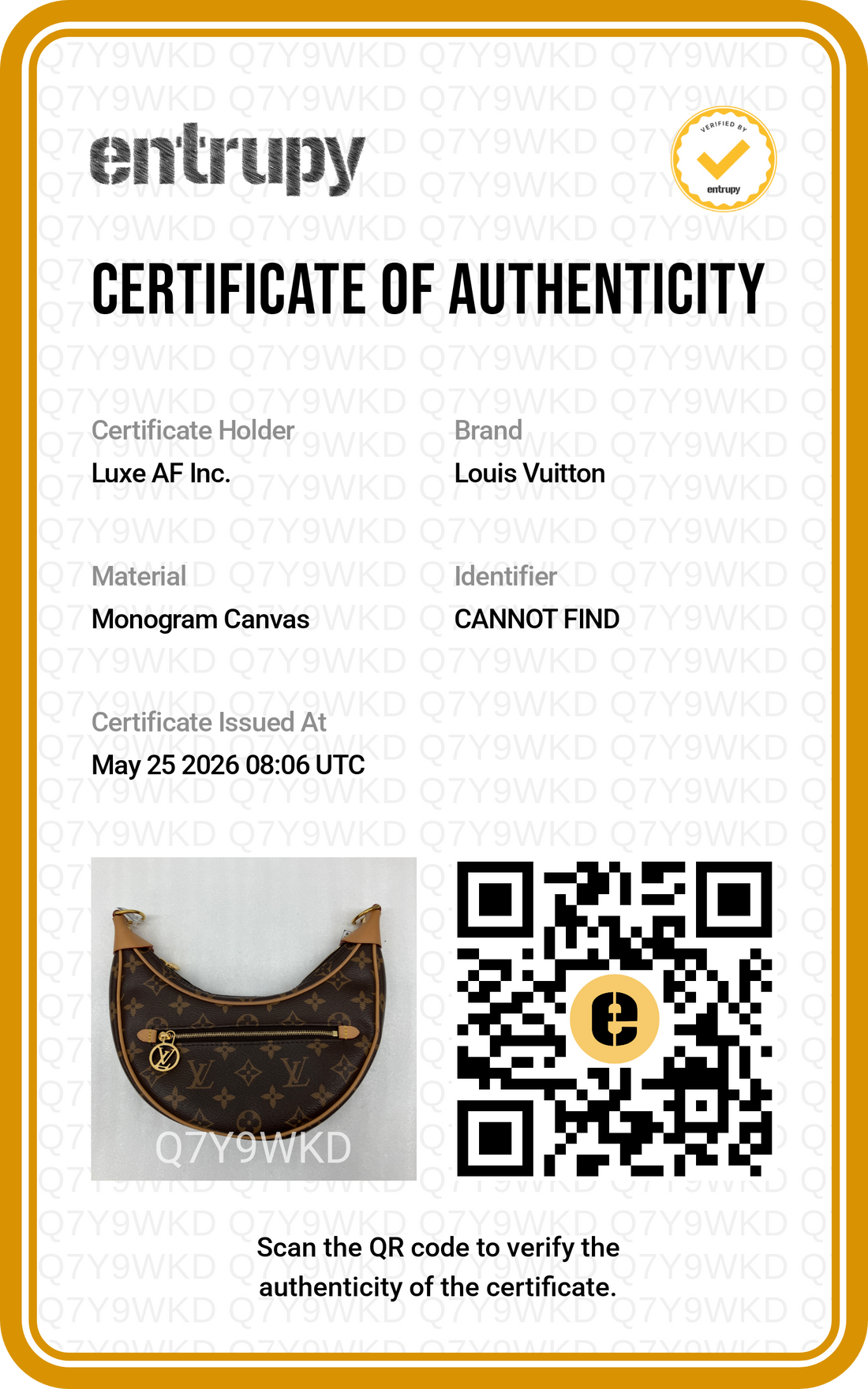 Louis Vuitton Loop Monogram Canvas Shoulder Bag LV2823