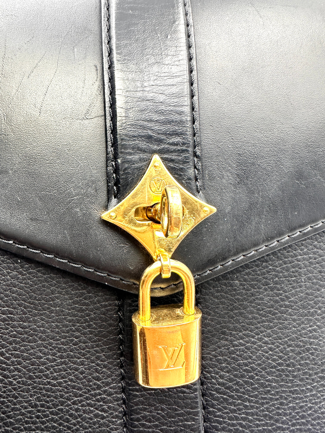Louis Vuitton Rose Des Vents Black Leather Handle Bag LV2834