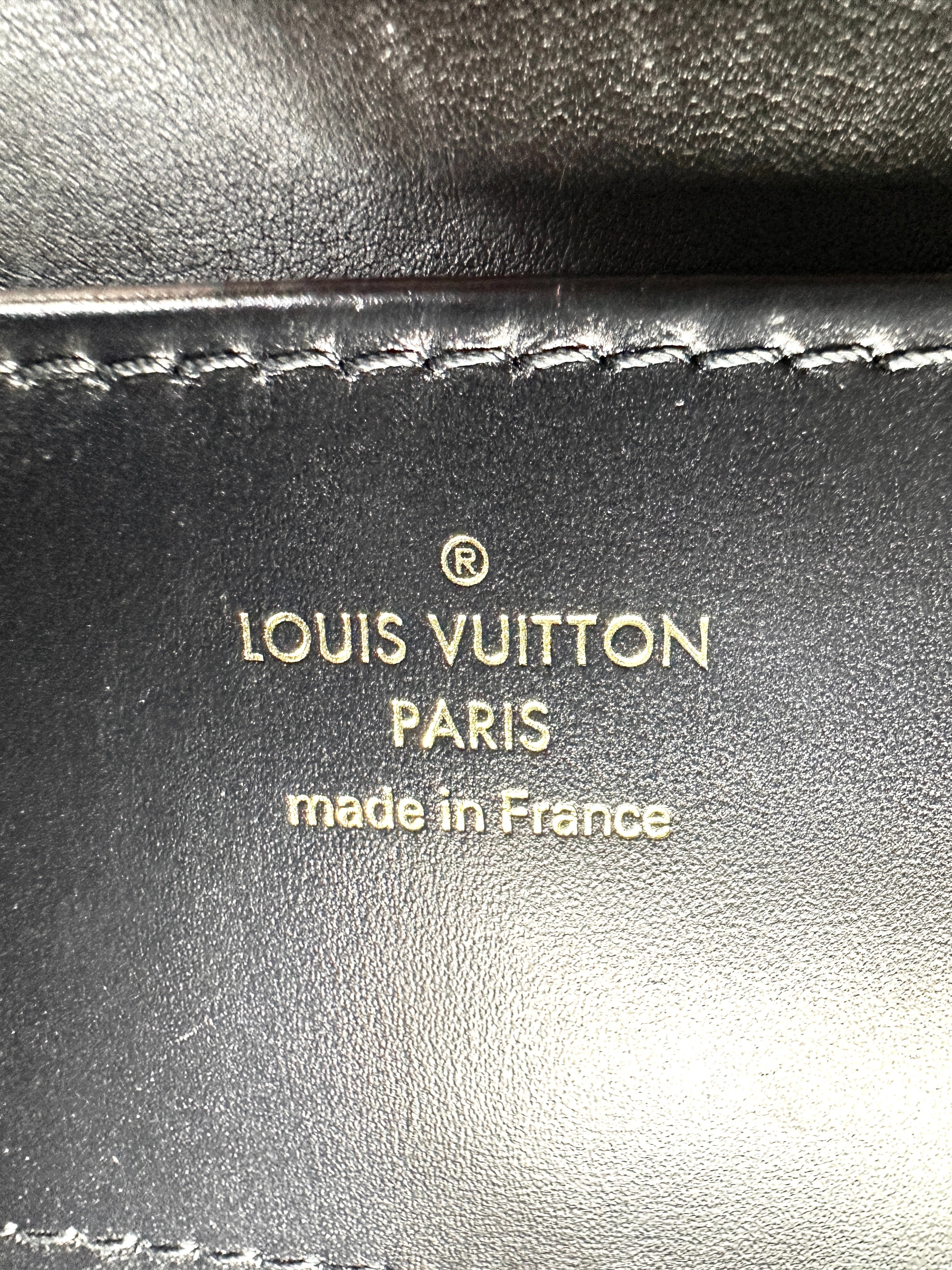 Louis Vuitton Rose Des Vents Black Leather Handle Bag LV2834