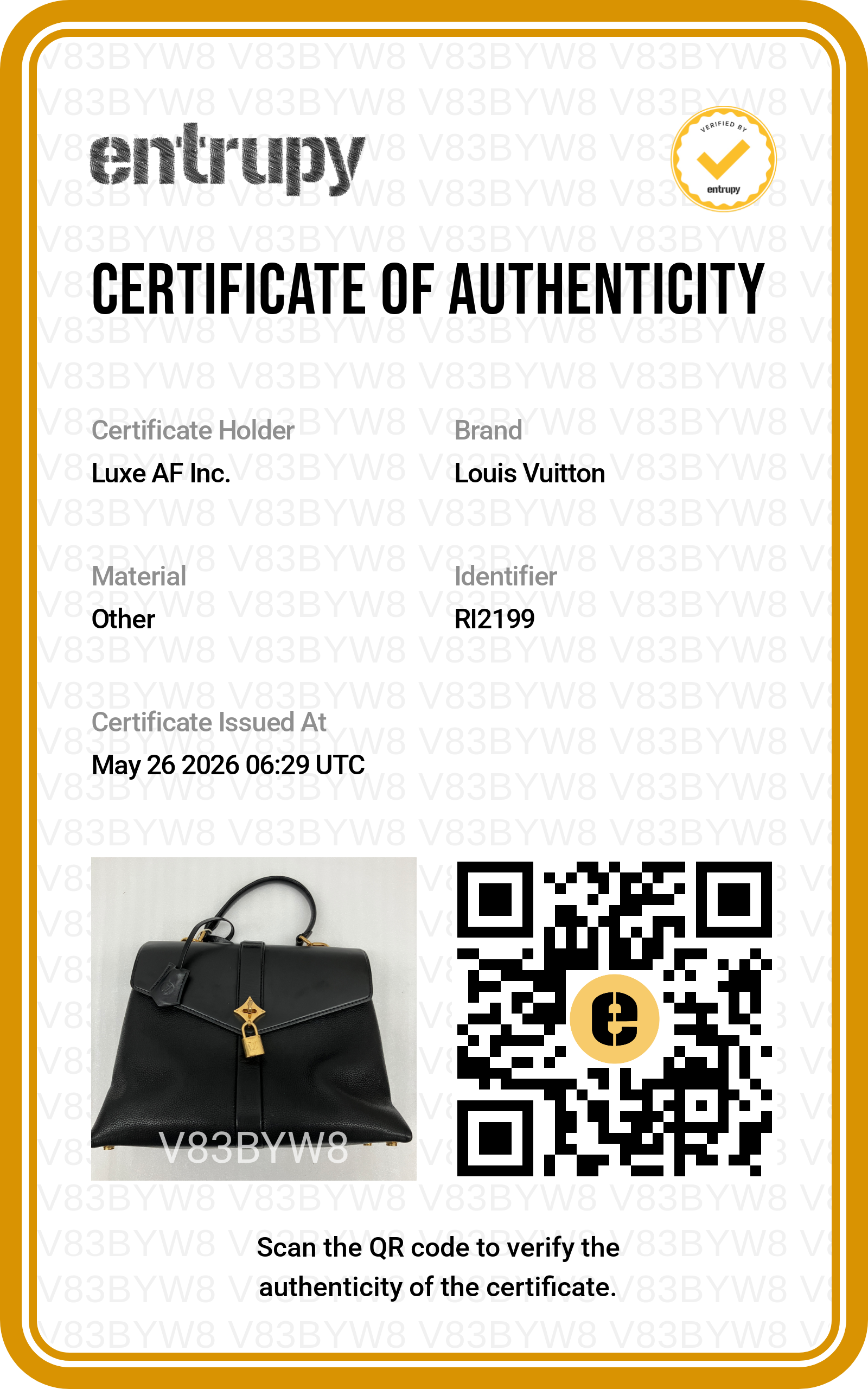 Louis Vuitton Rose Des Vents Black Leather Handle Bag LV2834