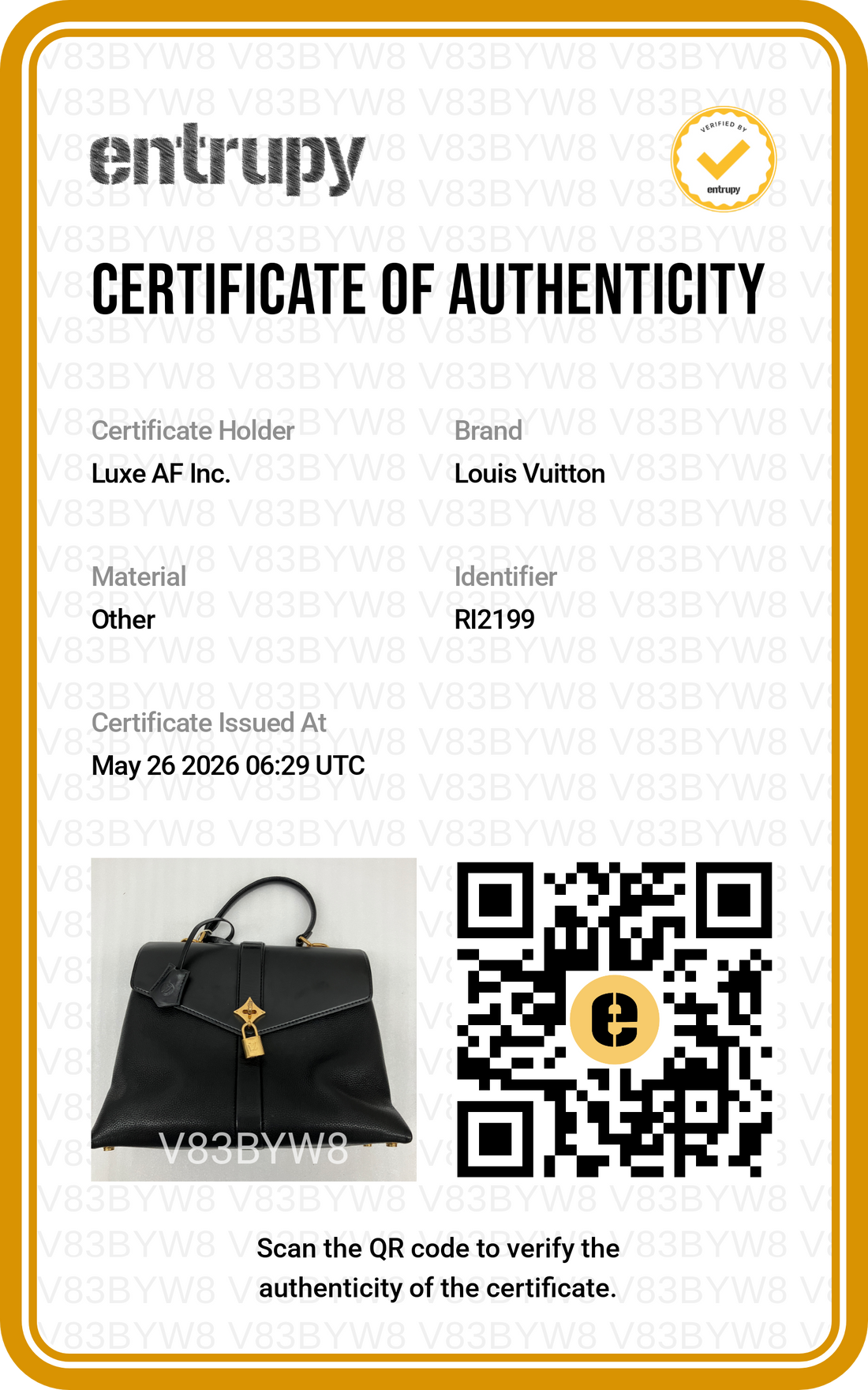 Louis Vuitton Rose Des Vents Black Leather Handle Bag LV2834