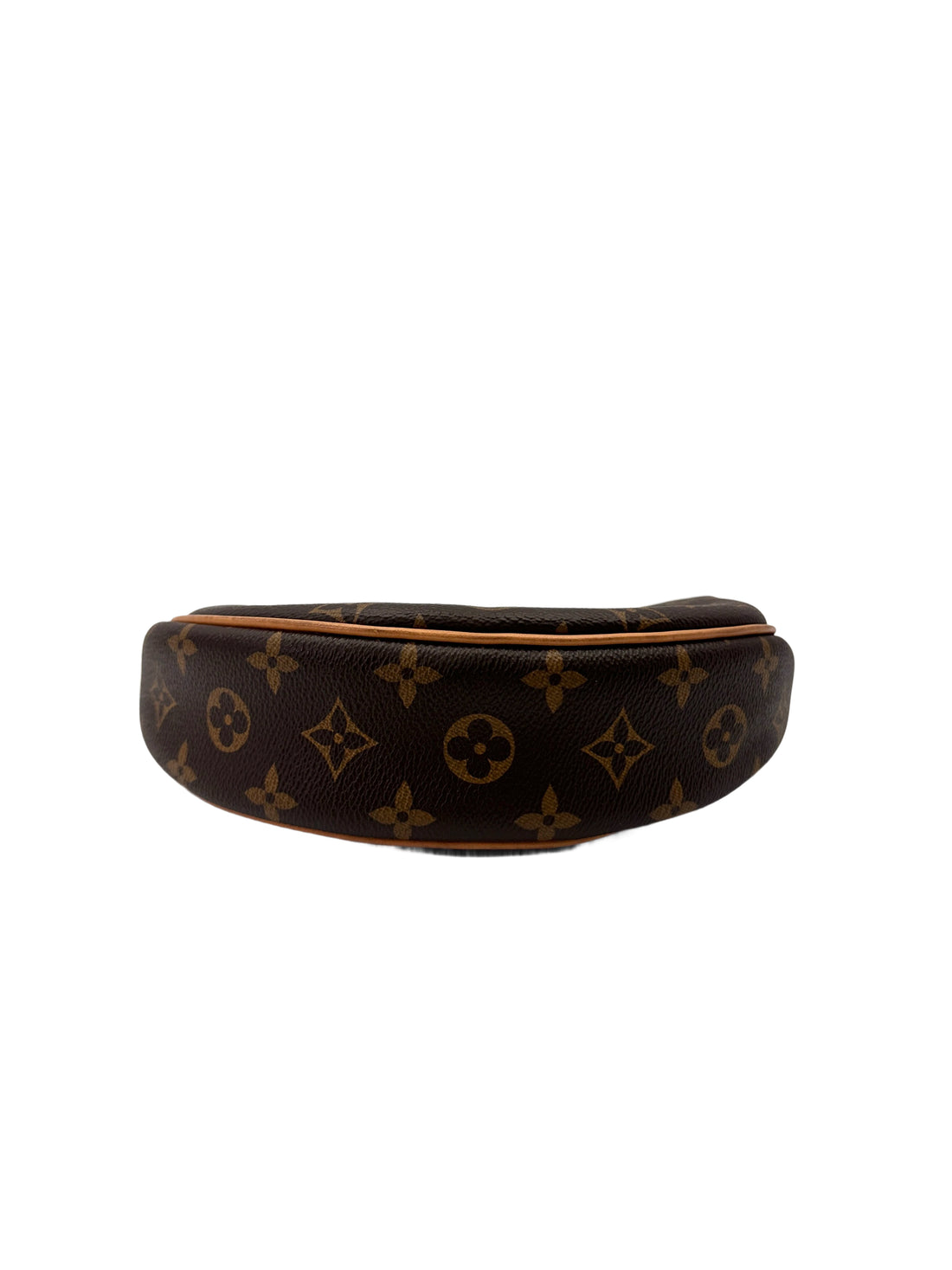 Louis Vuitton Loop Monogram Canvas Shoulder Bag LV2839