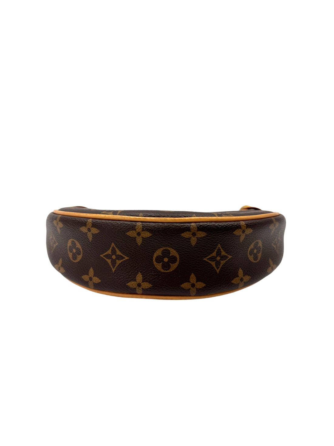 Louis Vuitton Loop Monogram Canvas Shoulder Bag LV2838
