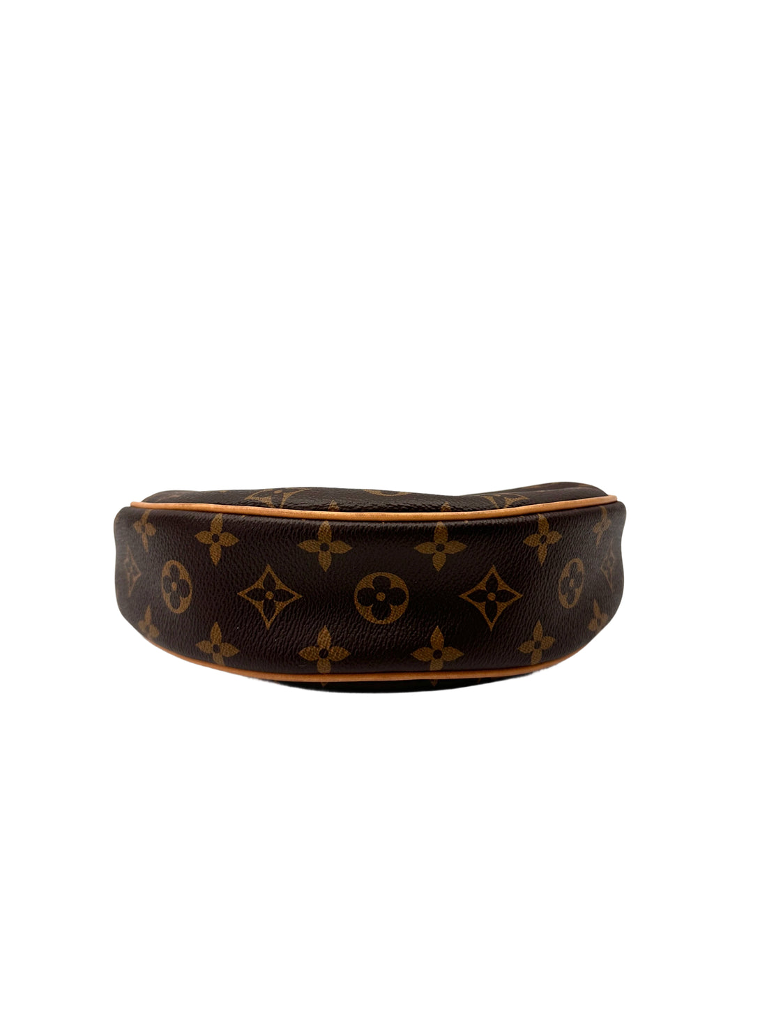 Louis Vuitton Loop Monogram Canvas Shoulder Bag LV2847
