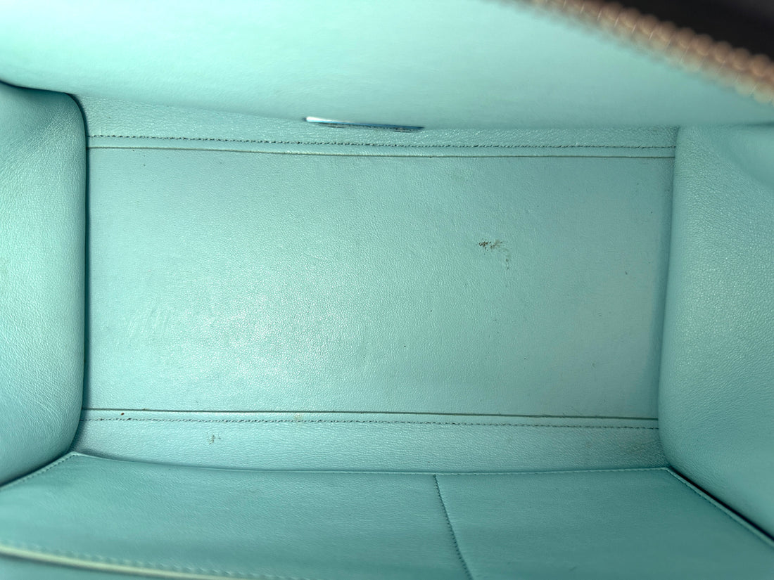 Celine Trapeze Beige/Black Leather Handle Bag CE165