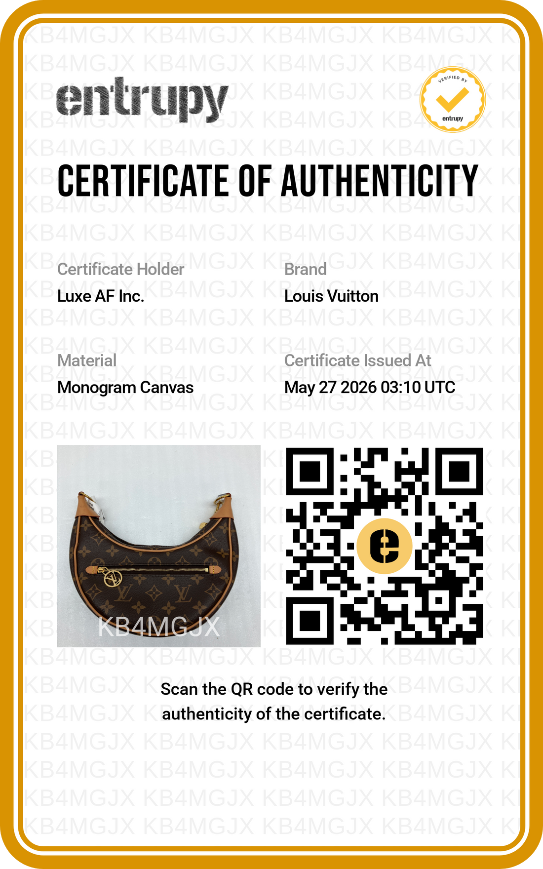 Louis Vuitton Loop Monogram Canvas Shoulder Bag LV2915