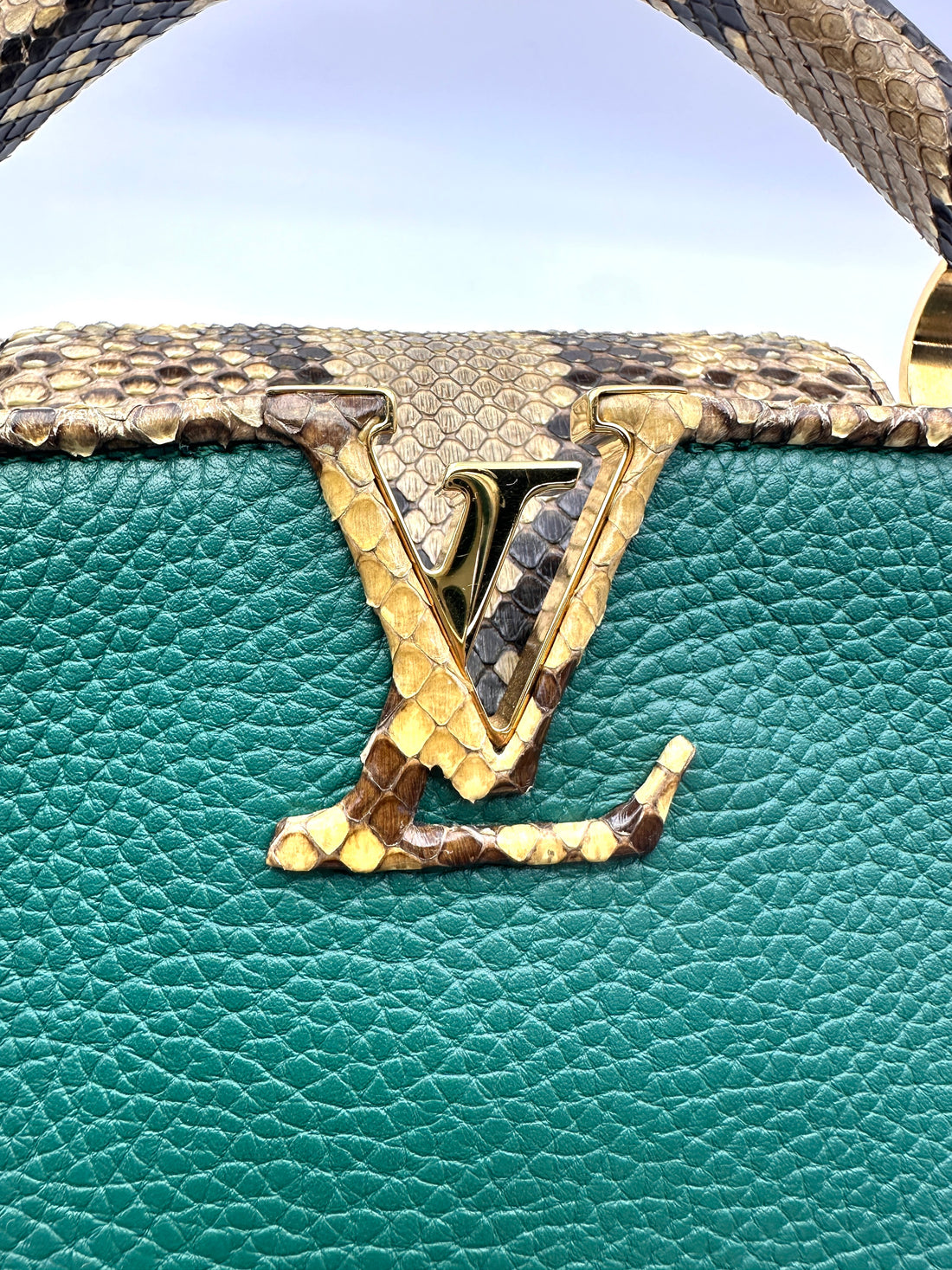 Louis Vuitton Capucines BB Green Leather Python Handle Bag LV2906