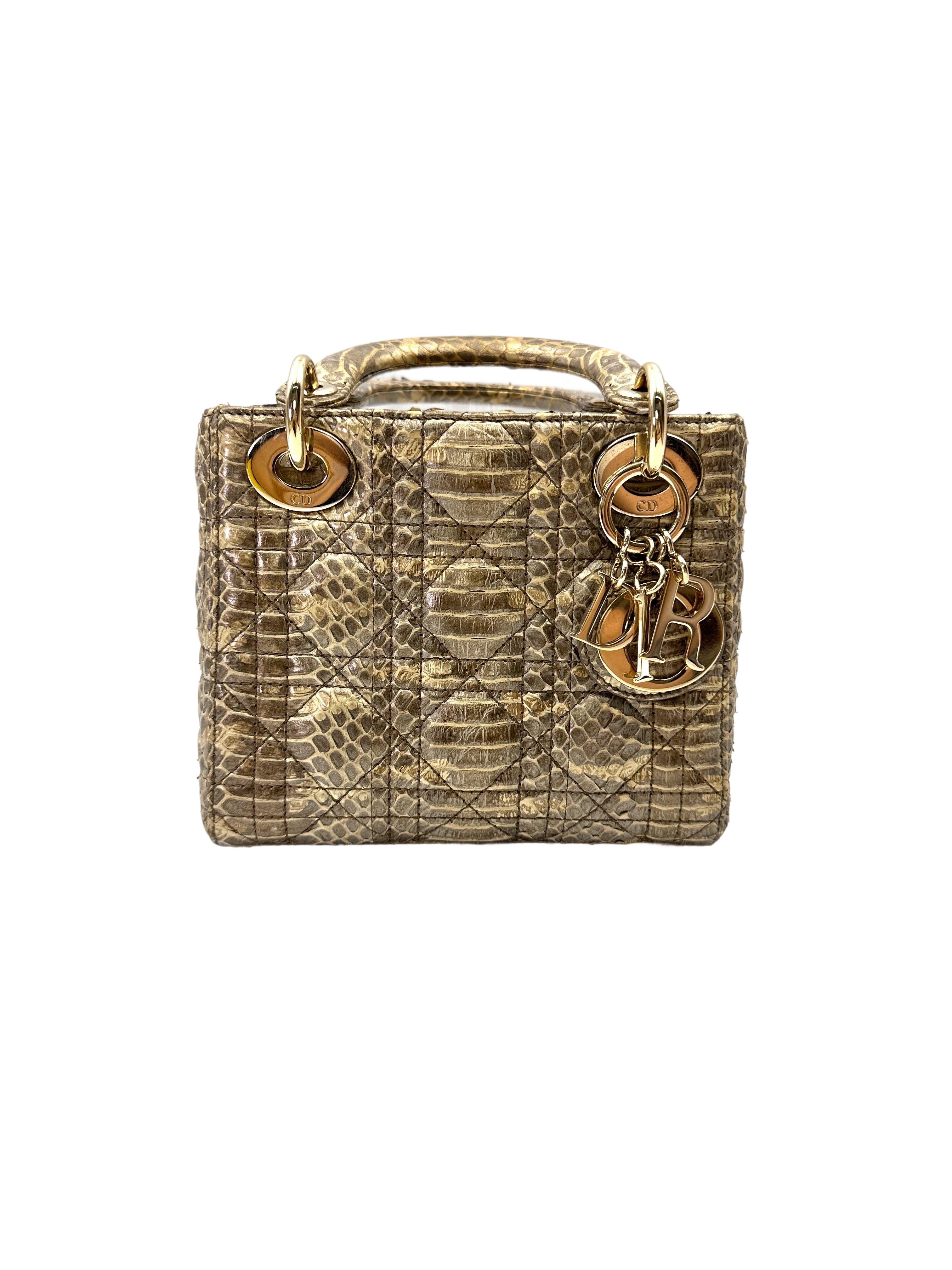 Christian Dior Lady Dior Grey Python Leather Handle Bag DR766