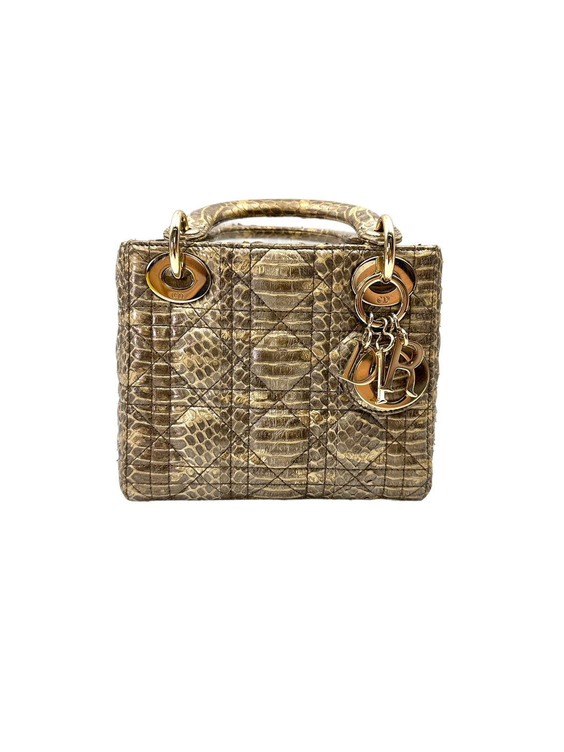 Christian Dior Lady Dior Grey Python Leather Handle Bag DR766