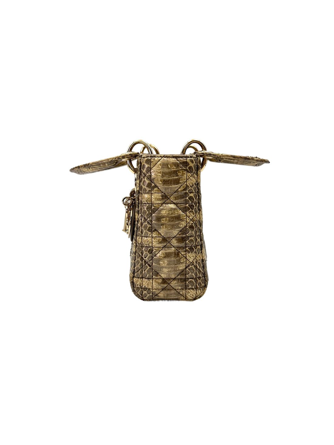 Christian Dior Lady Dior Grey Python Leather Handle Bag DR766